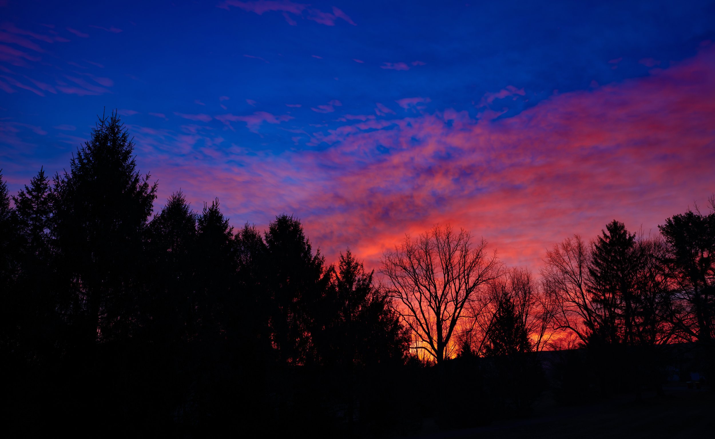 B00004143FR1766232761_denoised_p 2.jpg