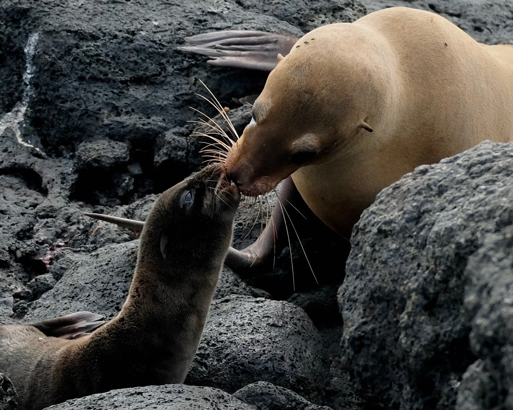 Welcome to the world