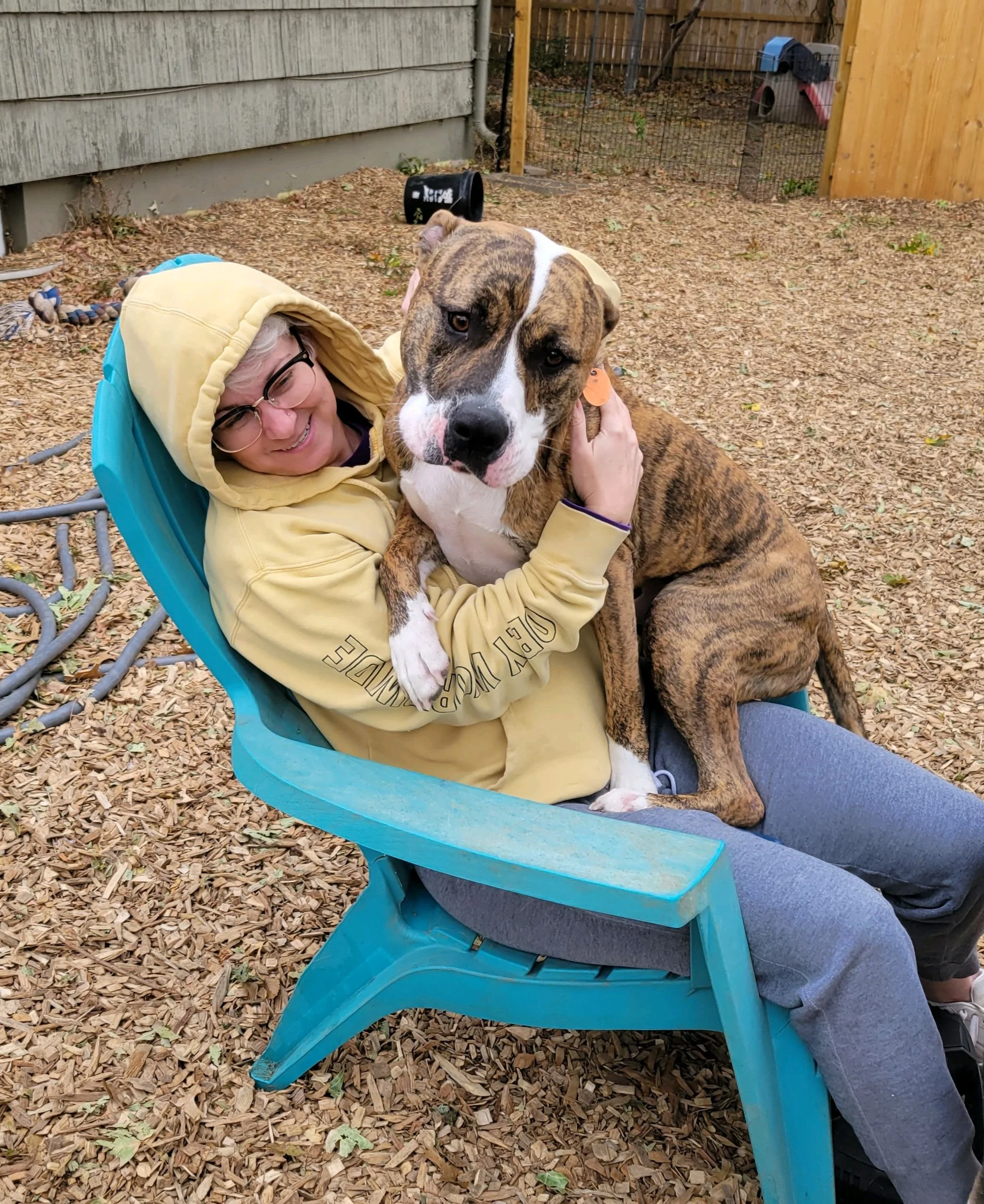 A woman with glasses lying on a blue plastic chair outdoors, hugging a large brindle and white dog, on a ground covered with wood chips, with a wooden fence and a small animal shelter in the background.