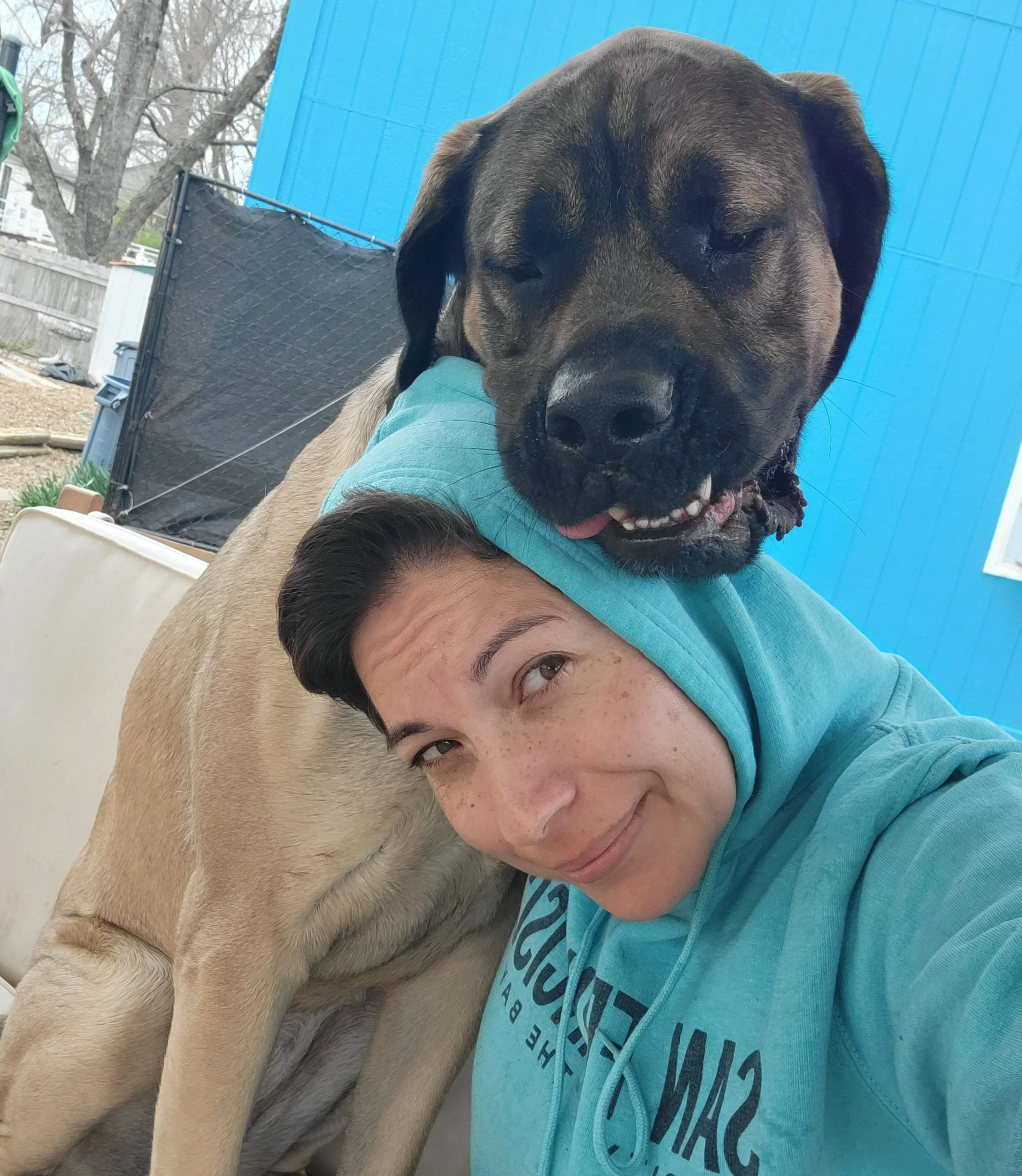 A person lying on the ground with their head and shoulders visible, smiling and looking at the camera, with a large dog on top of them. The dog has a brown coat, floppy ears, and is resting its head on the person's shoulder. The background shows a blue wall and some outdoor elements like trees and a fence.