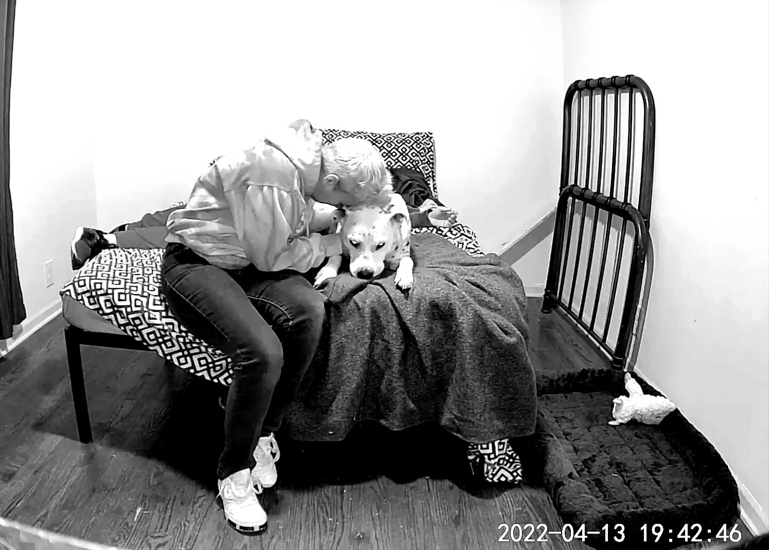 A person sitting on a bed with a dog between their legs, leaning in to kiss or nuzzle the dog. The bed has patterned pillows and a blanket. The room has hardwood floors.