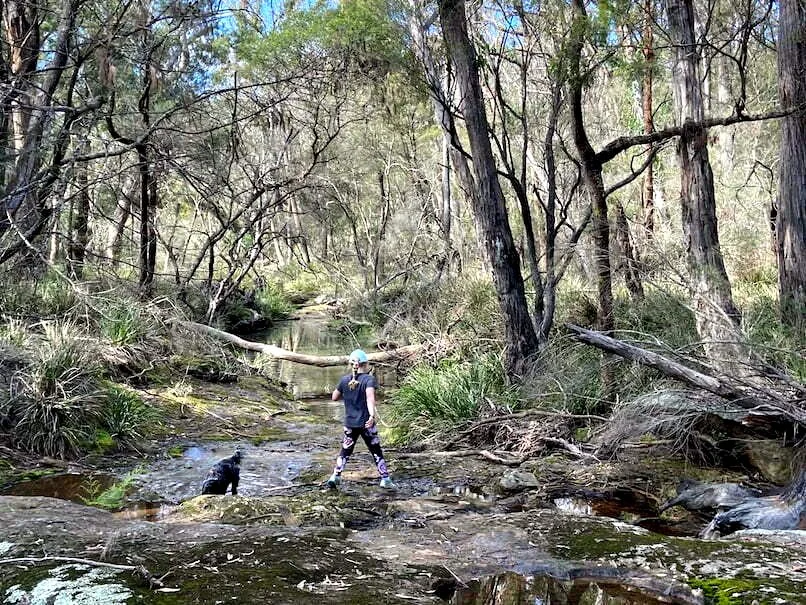 Forty Foot Falls, four hours with small kids and a dog.