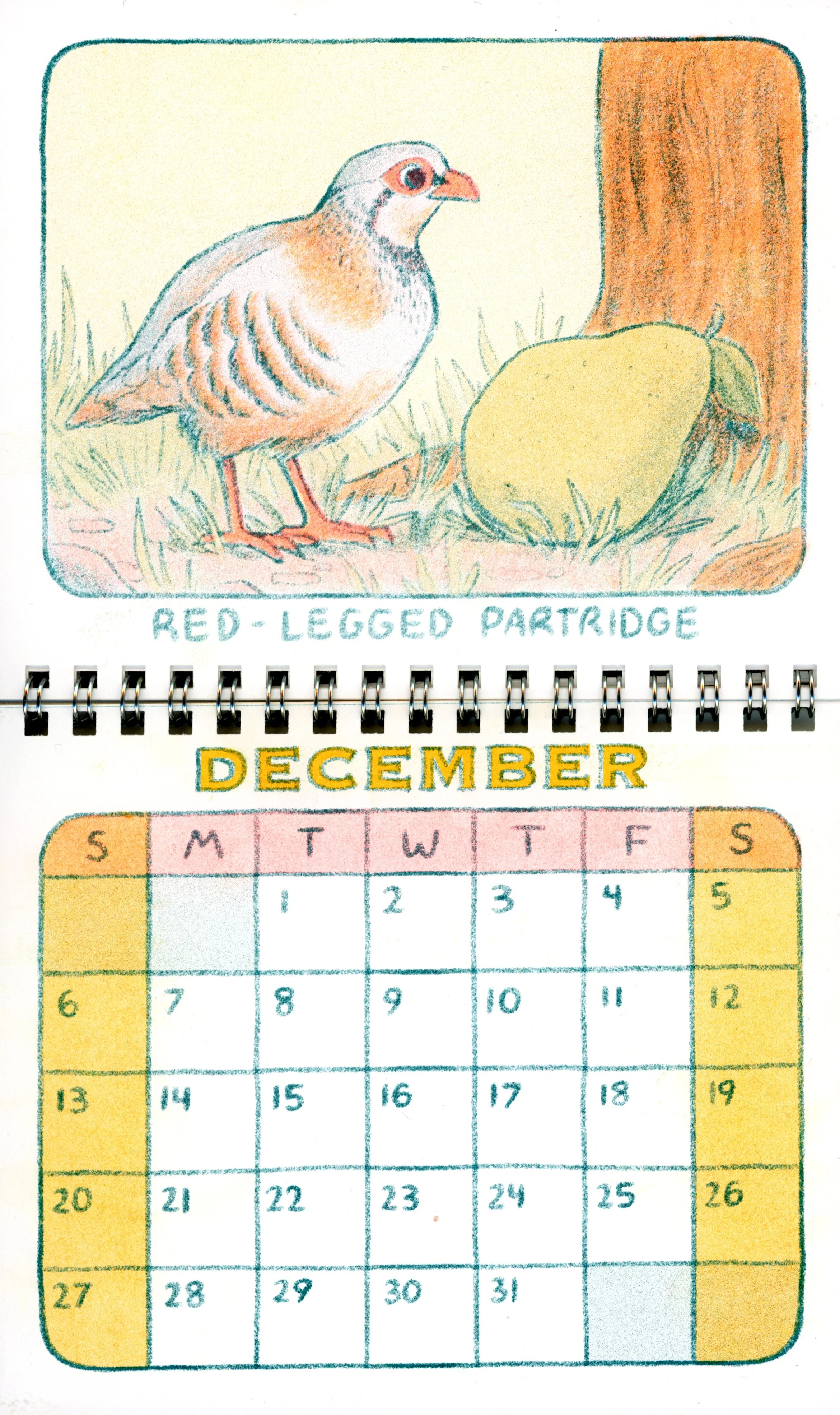 BirdCalendar_editedscan_12.jpg