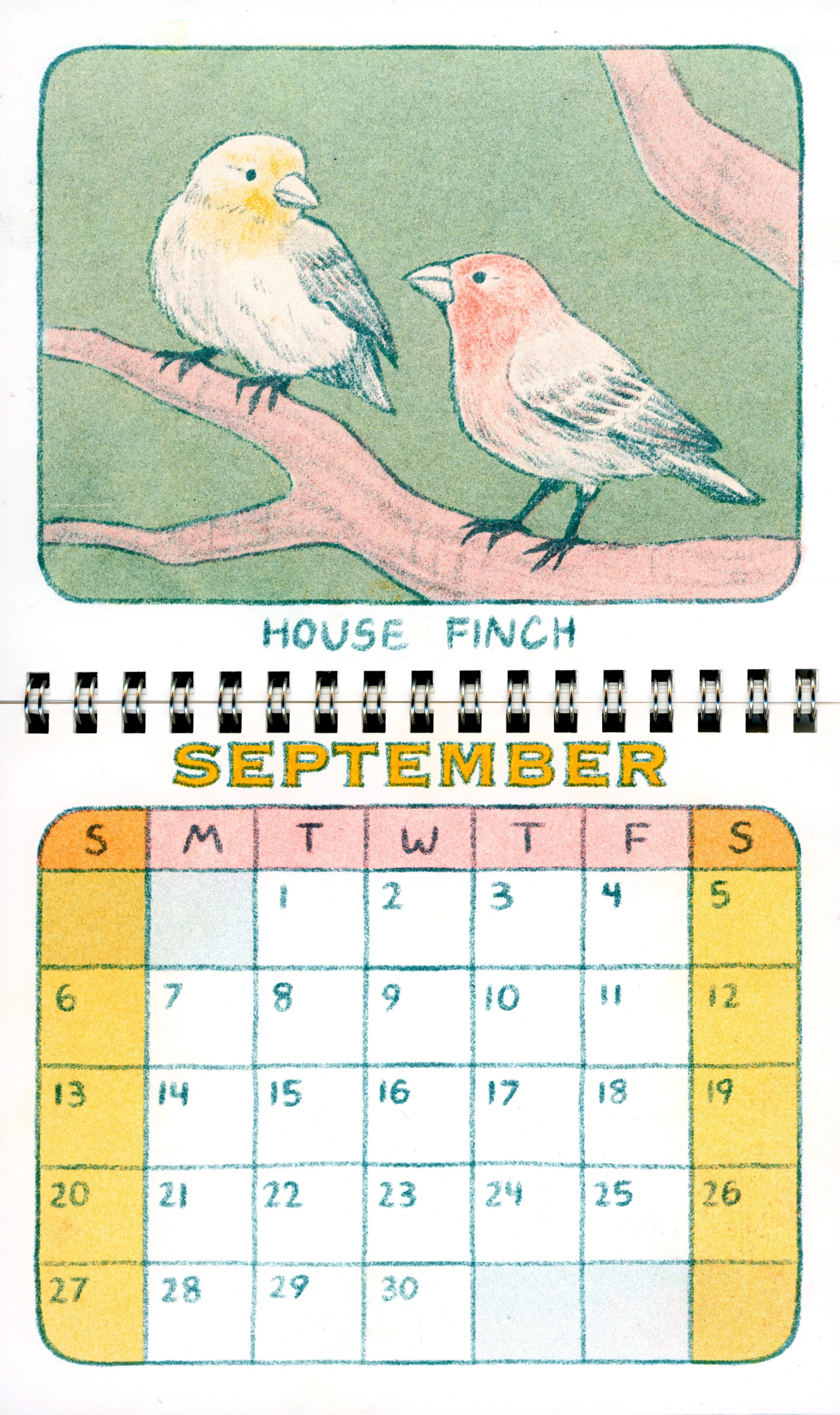 BirdCalendar_editedscan_09.jpg