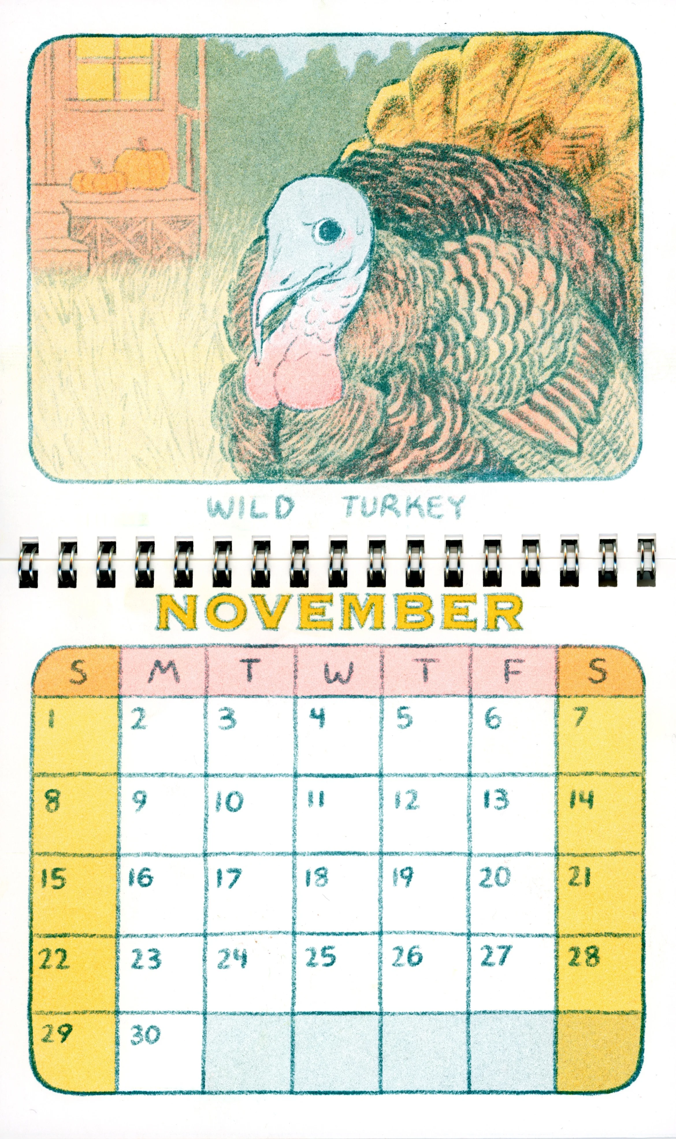 BirdCalendar_editedscan_11.jpg