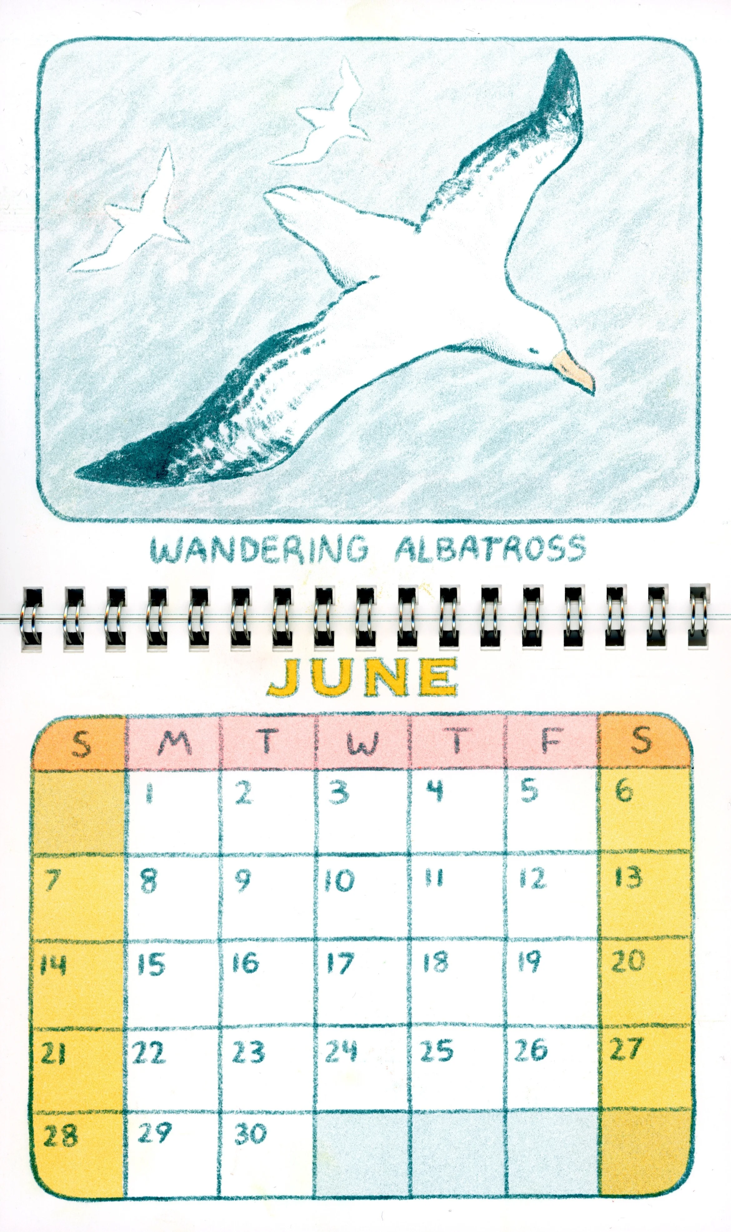 BirdCalendar_editedscan_06.jpg