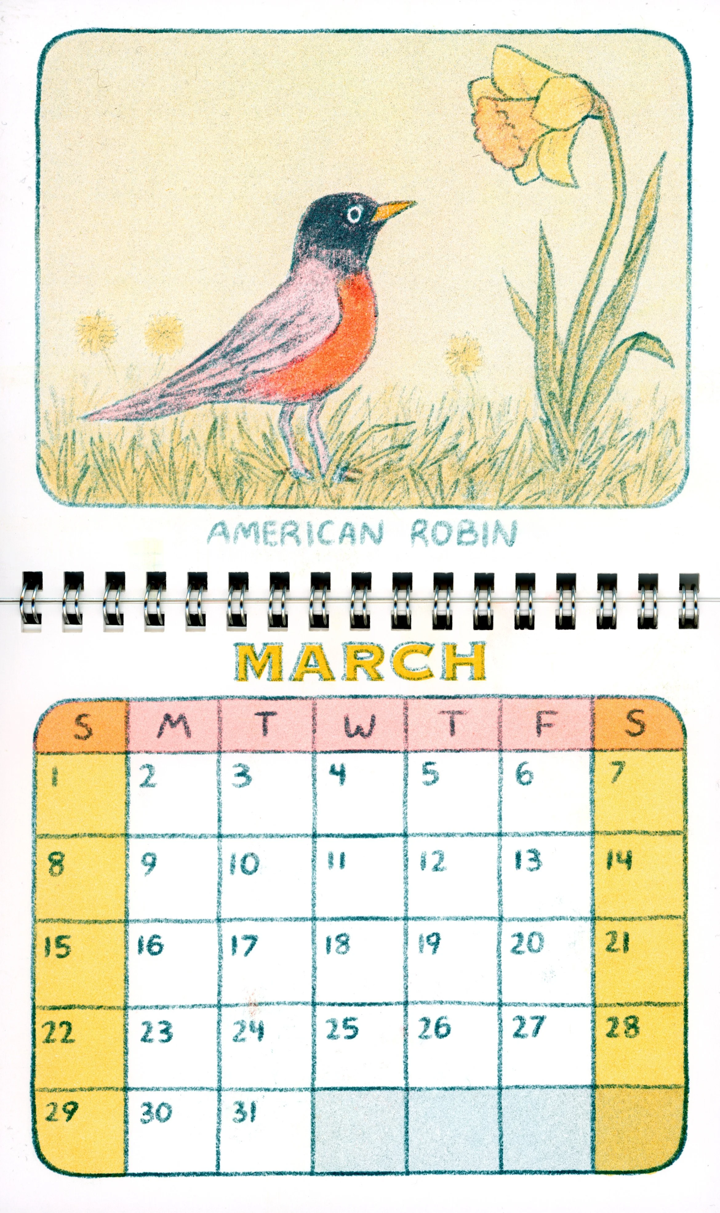 BirdCalendar_editedscan_03.jpg