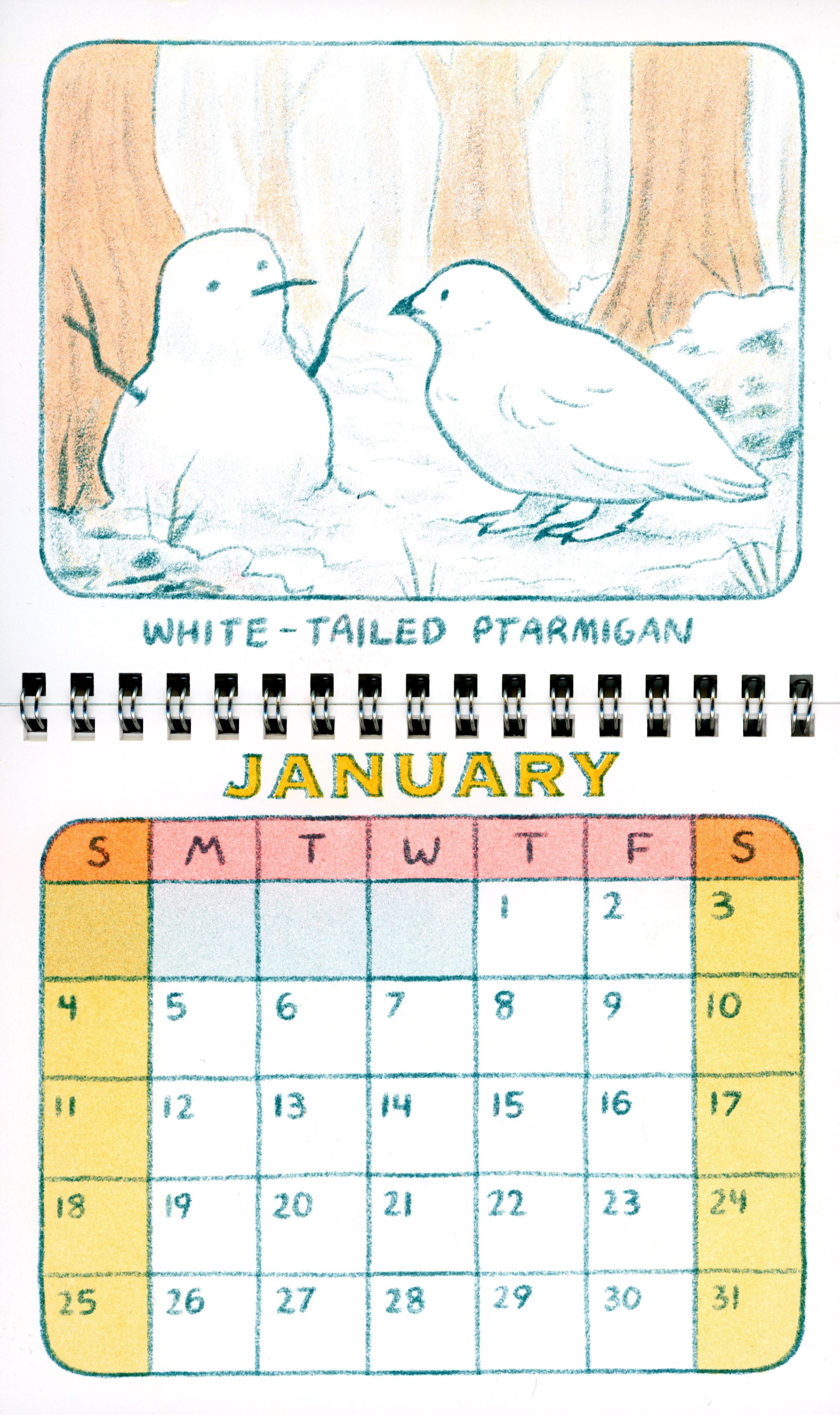 BirdCalendar_editedscan_01.jpg