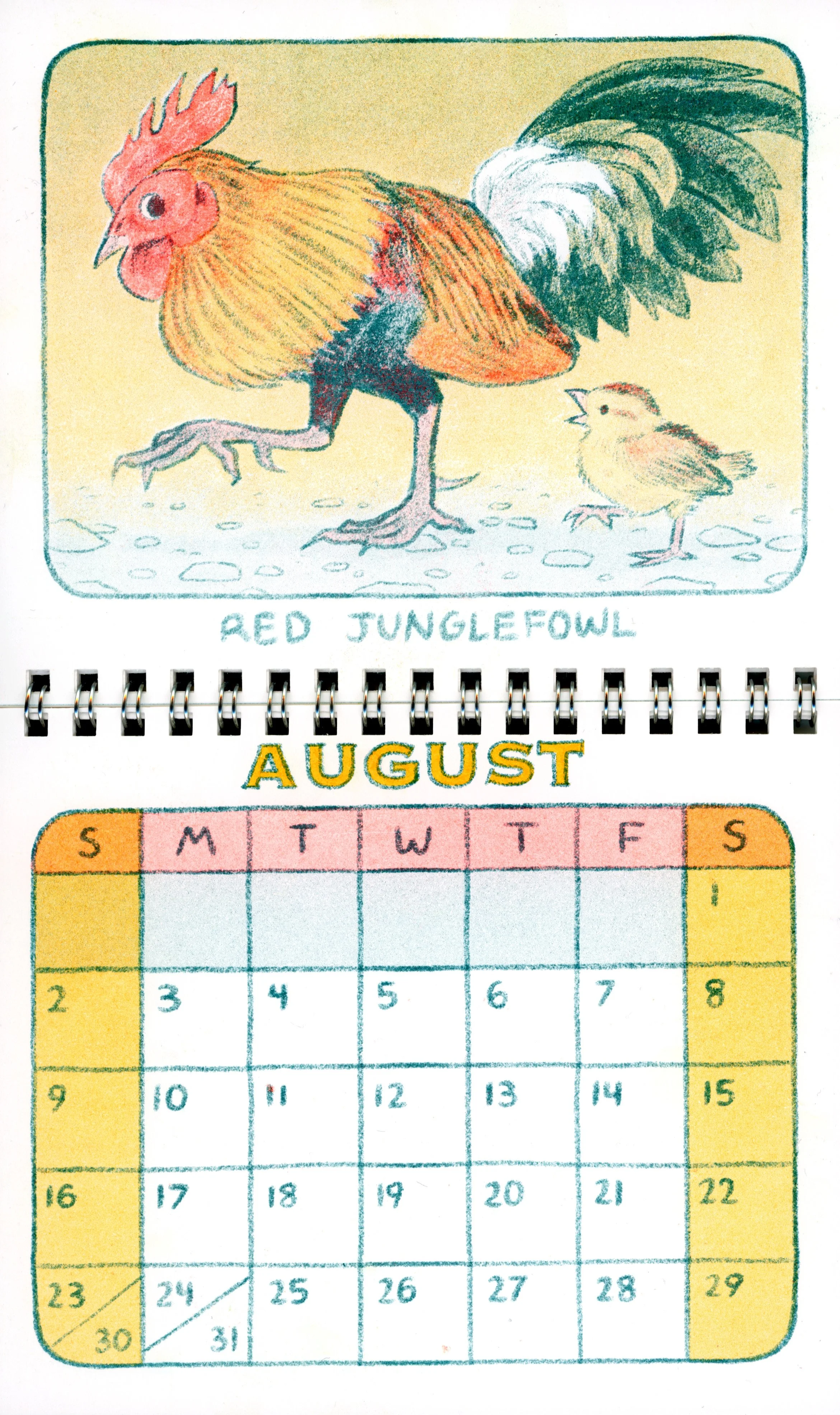 BirdCalendar_editedscan_08.jpg