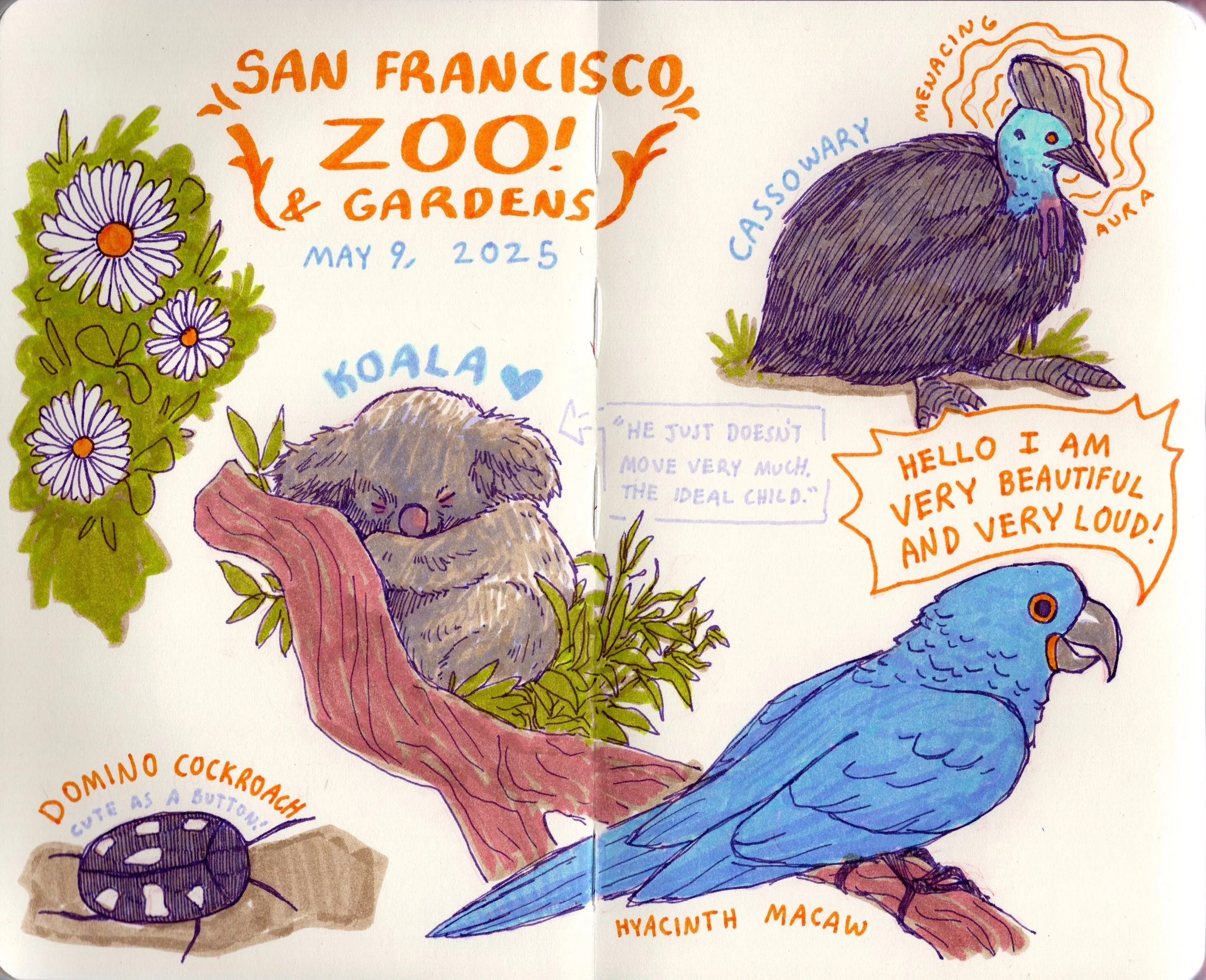 Sketchbook_SFZoo.jpg