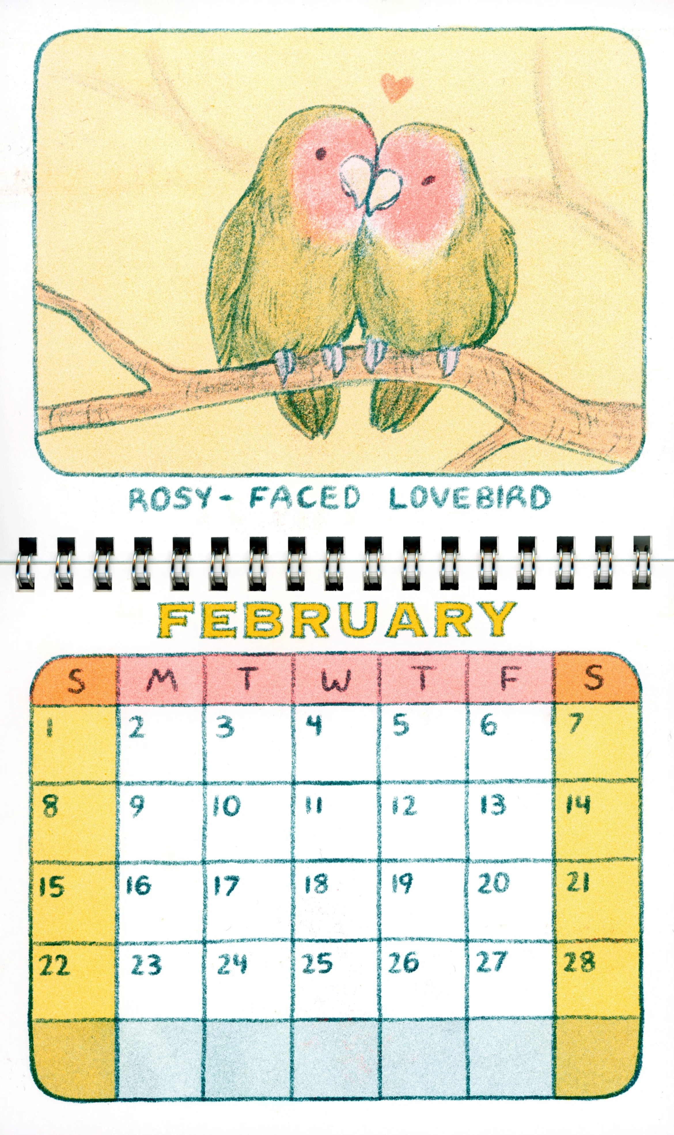 BirdCalendar_editedscan_02.jpg