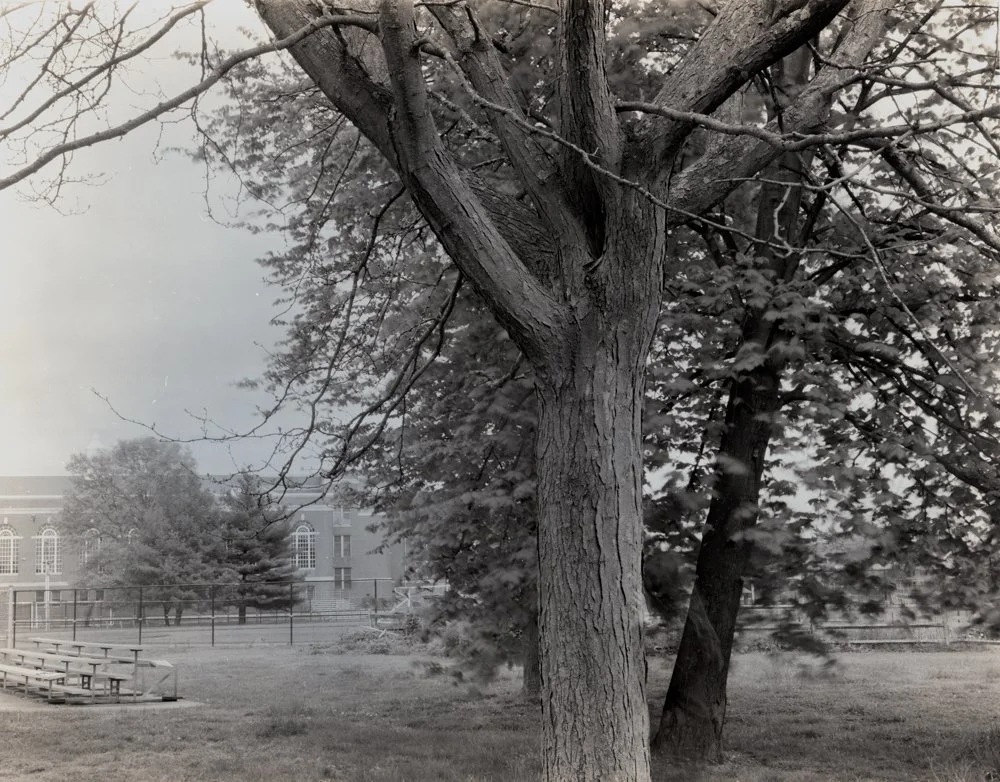 spencerfinallargeformat-15 copy.jpg