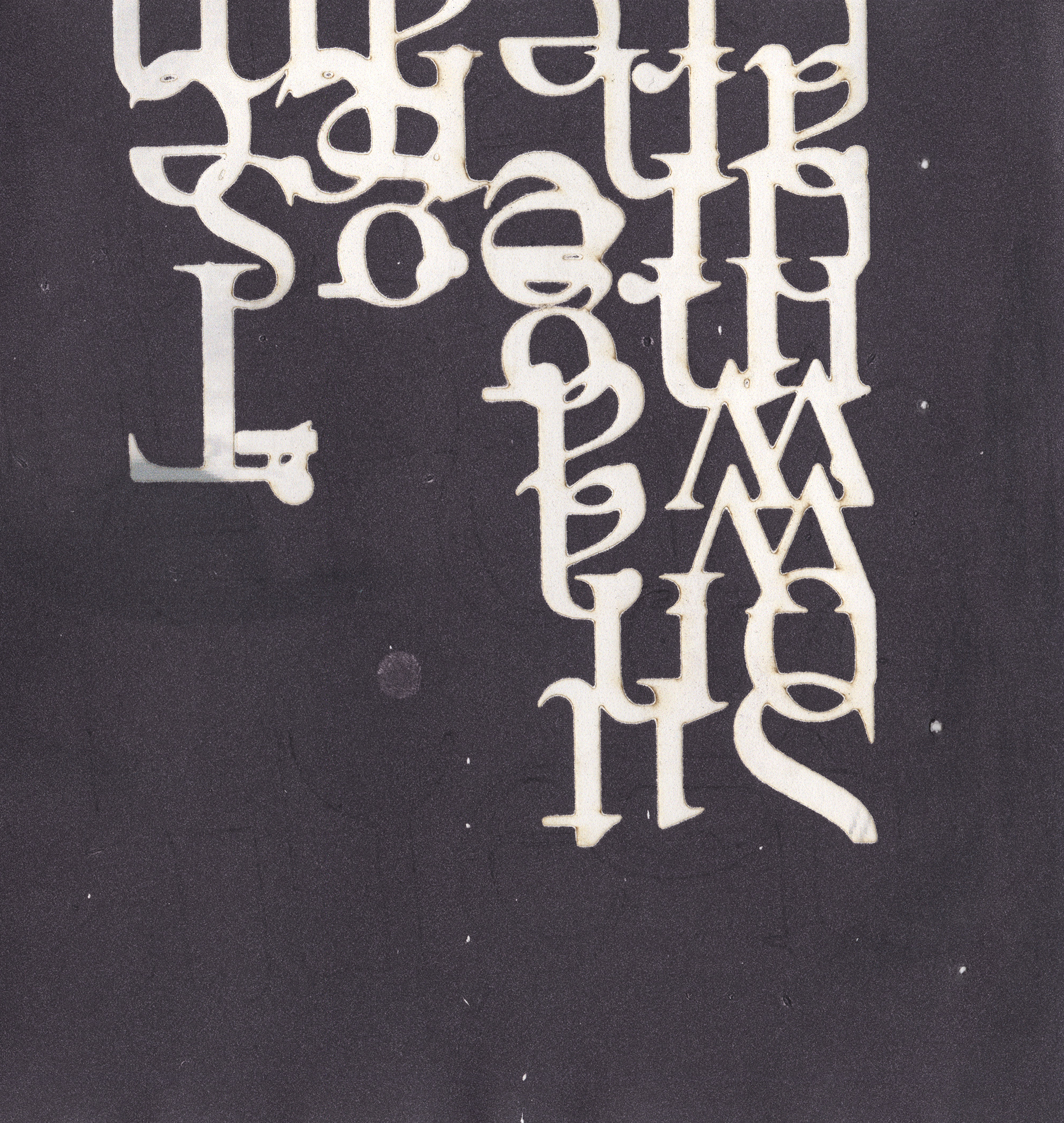 SPENCER THE ECHO & THE TRACE50.1png.png