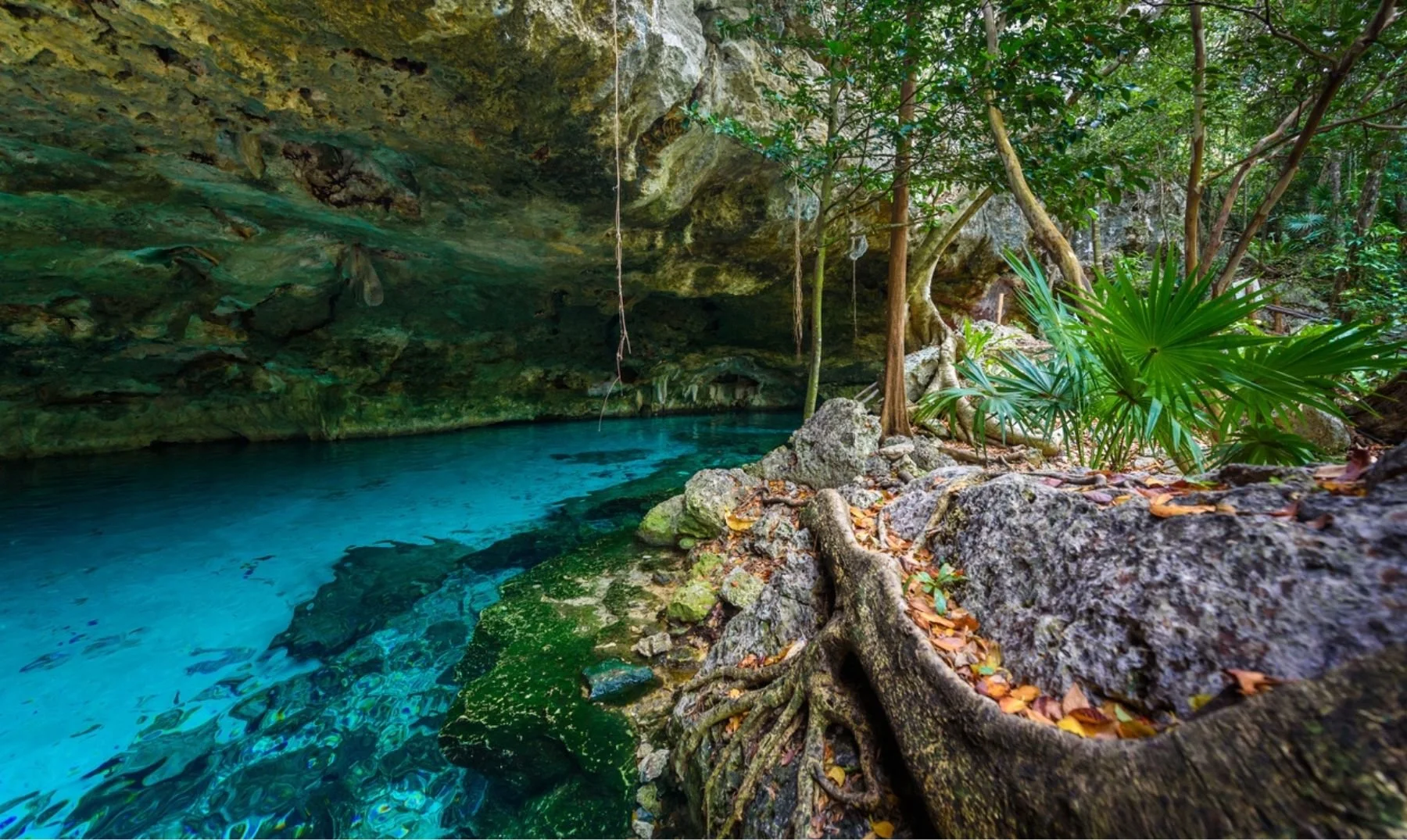 cenote-dos-ojos.jpg