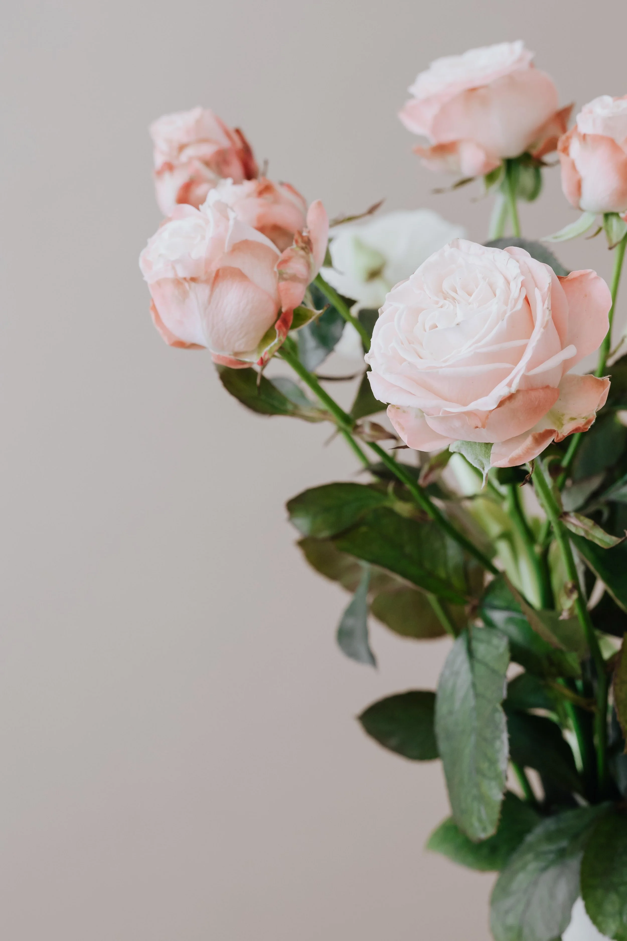 A bouquet of pale pink roses with green leaves against a neutral background.
