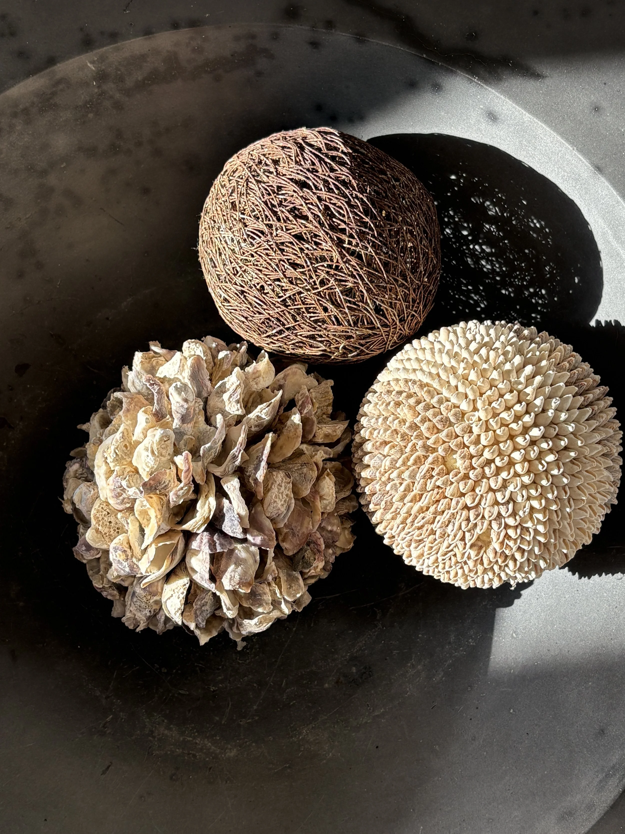Three dried decorative objects resembling pinecones or seed pods placed inside a dark container.