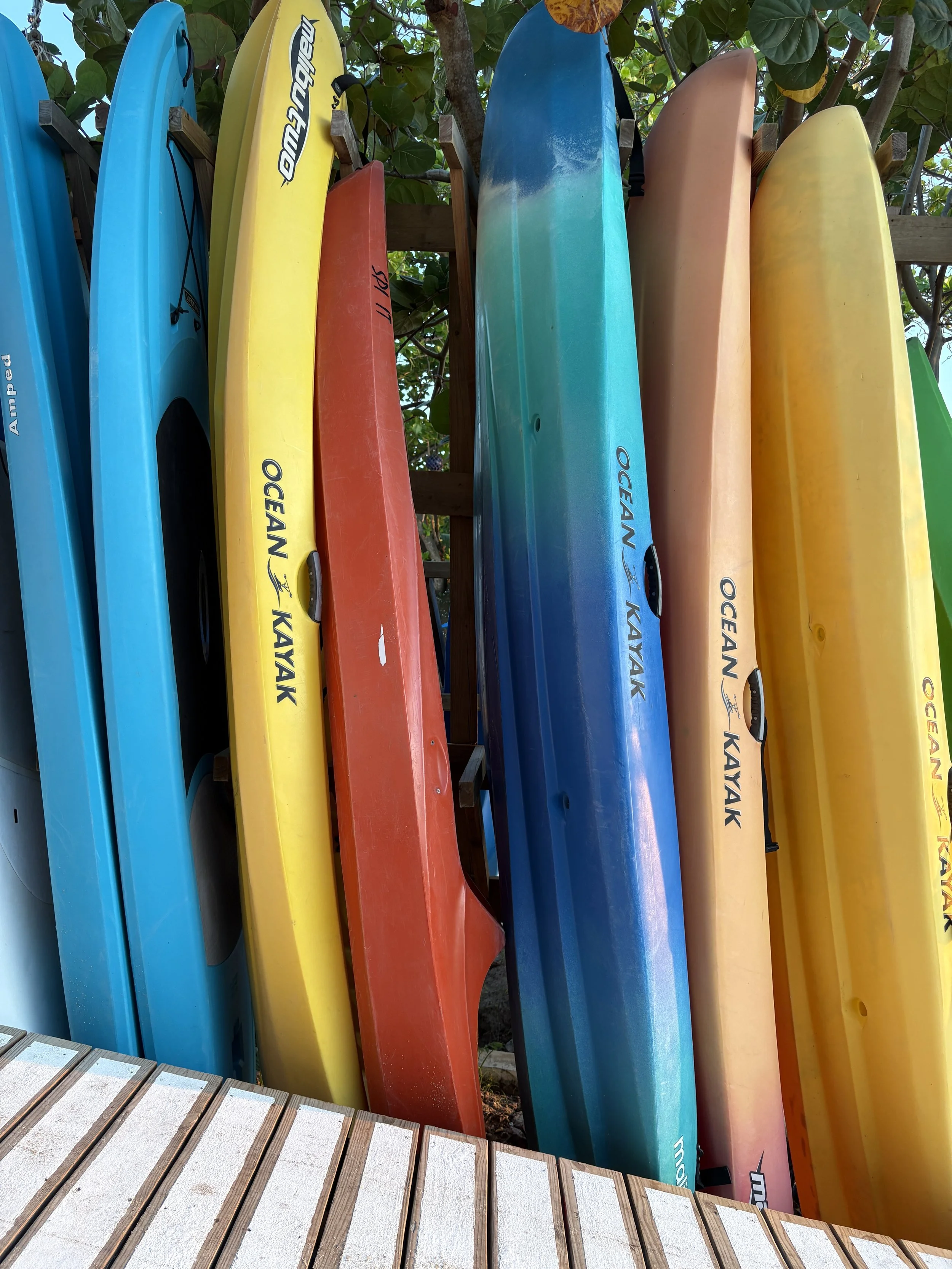 Colorful kayaks stored on a rack under green trees, with a wooden deck in the foreground.