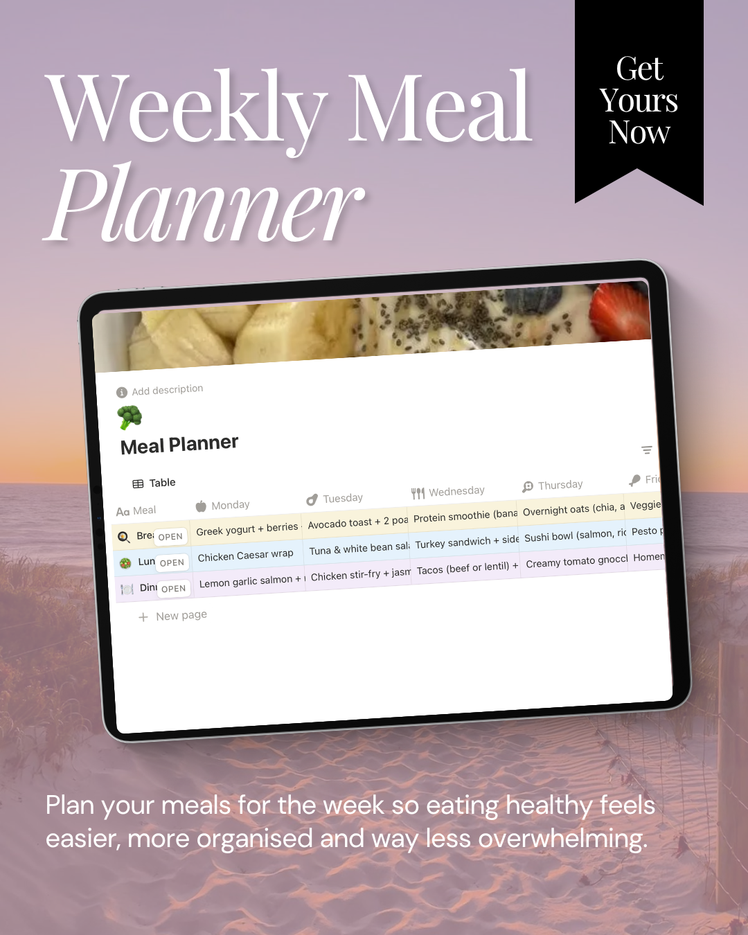 MFM WELLNESS PLANNER (3).png