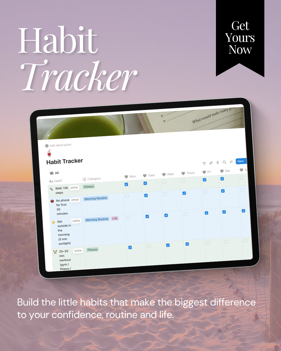 MFM WELLNESS PLANNER (5).png