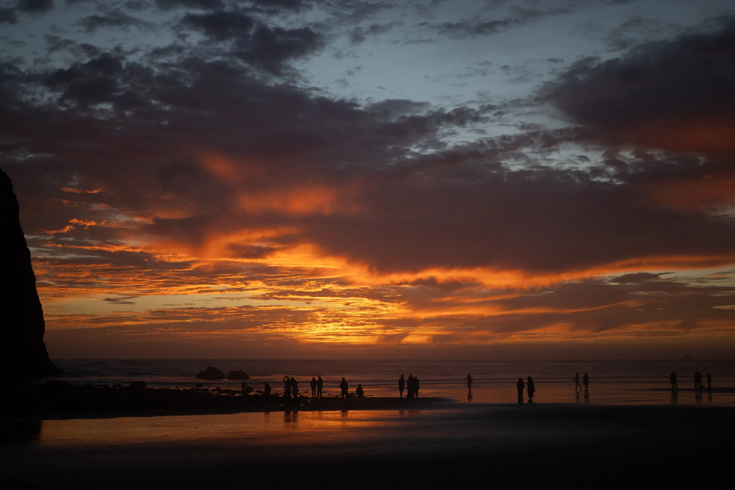 DSC_8937.jpeg