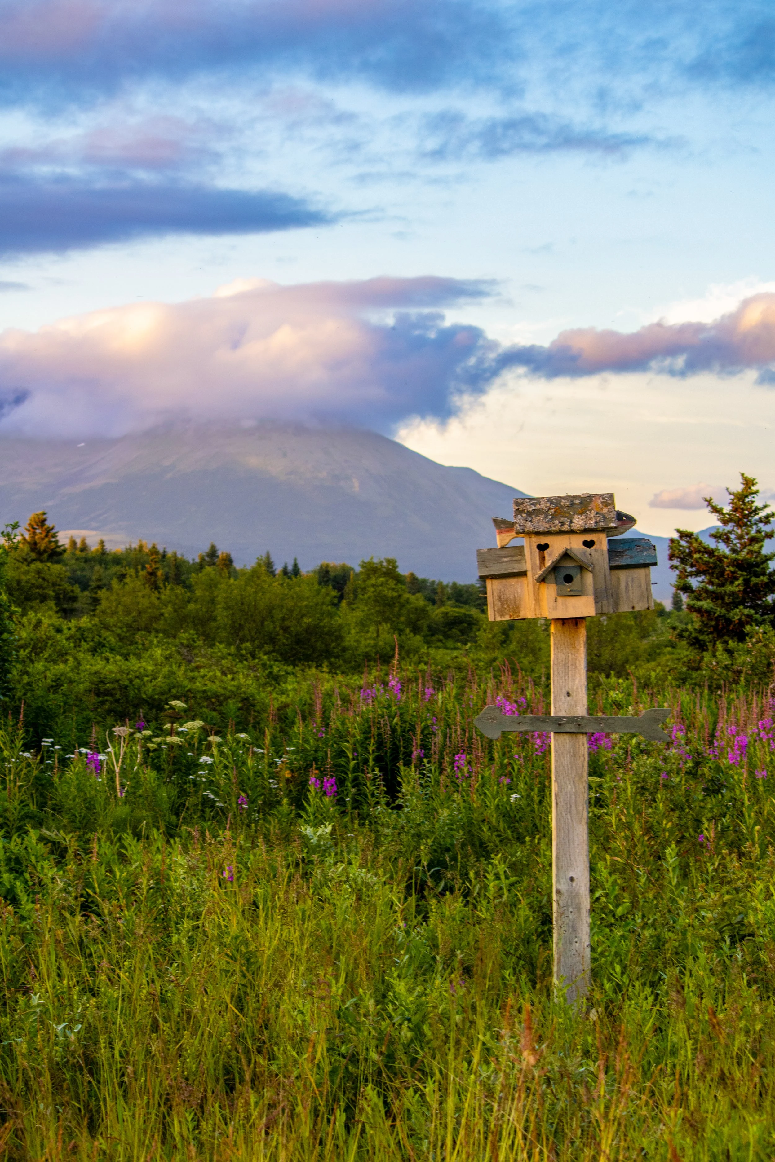 A wooden birdhouse on a post in a lush green field with purple flowers, mountains and a partly cloudy sky in the background.