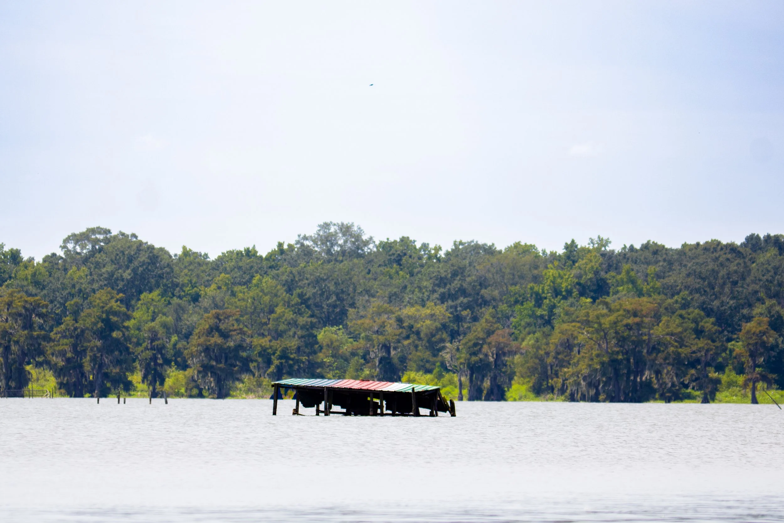 A partially submerged, weathered house with a metal roof in a body of water, with a backdrop of green trees and a cloudy sky.
