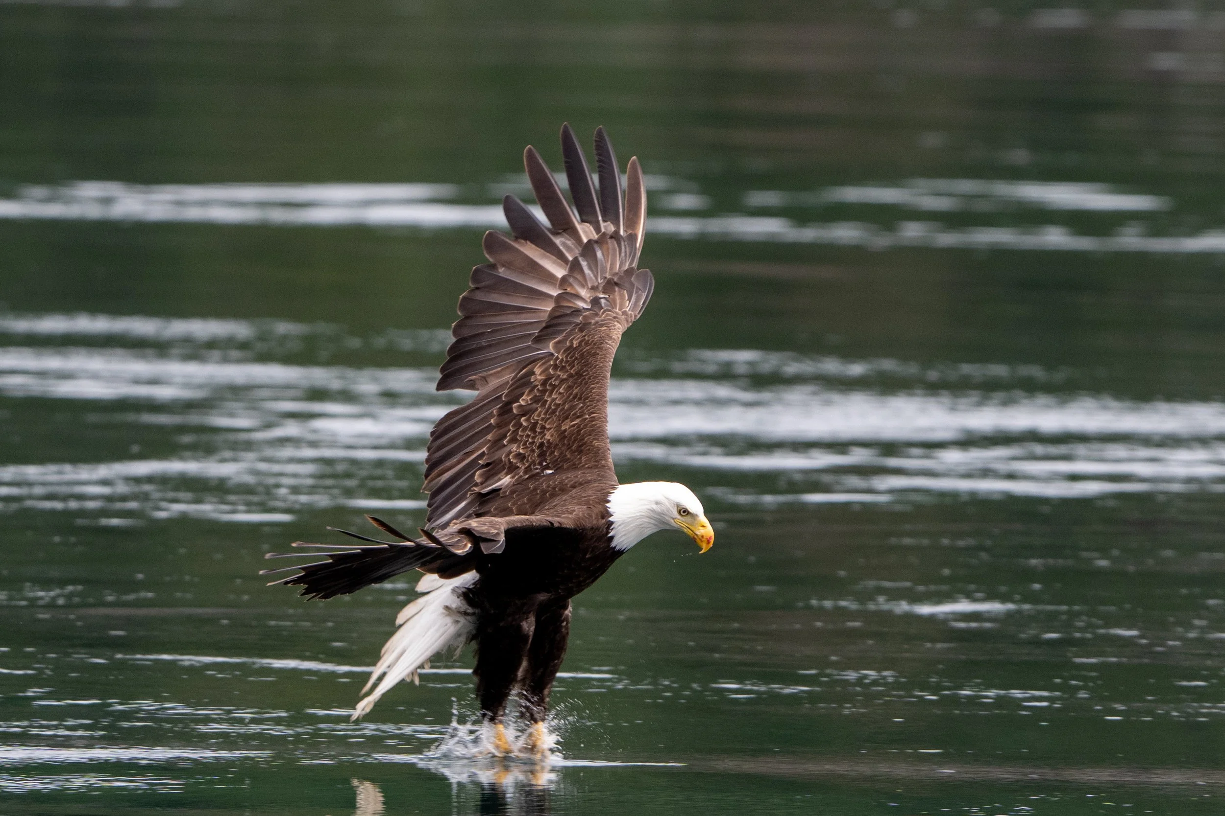 Walking on Water