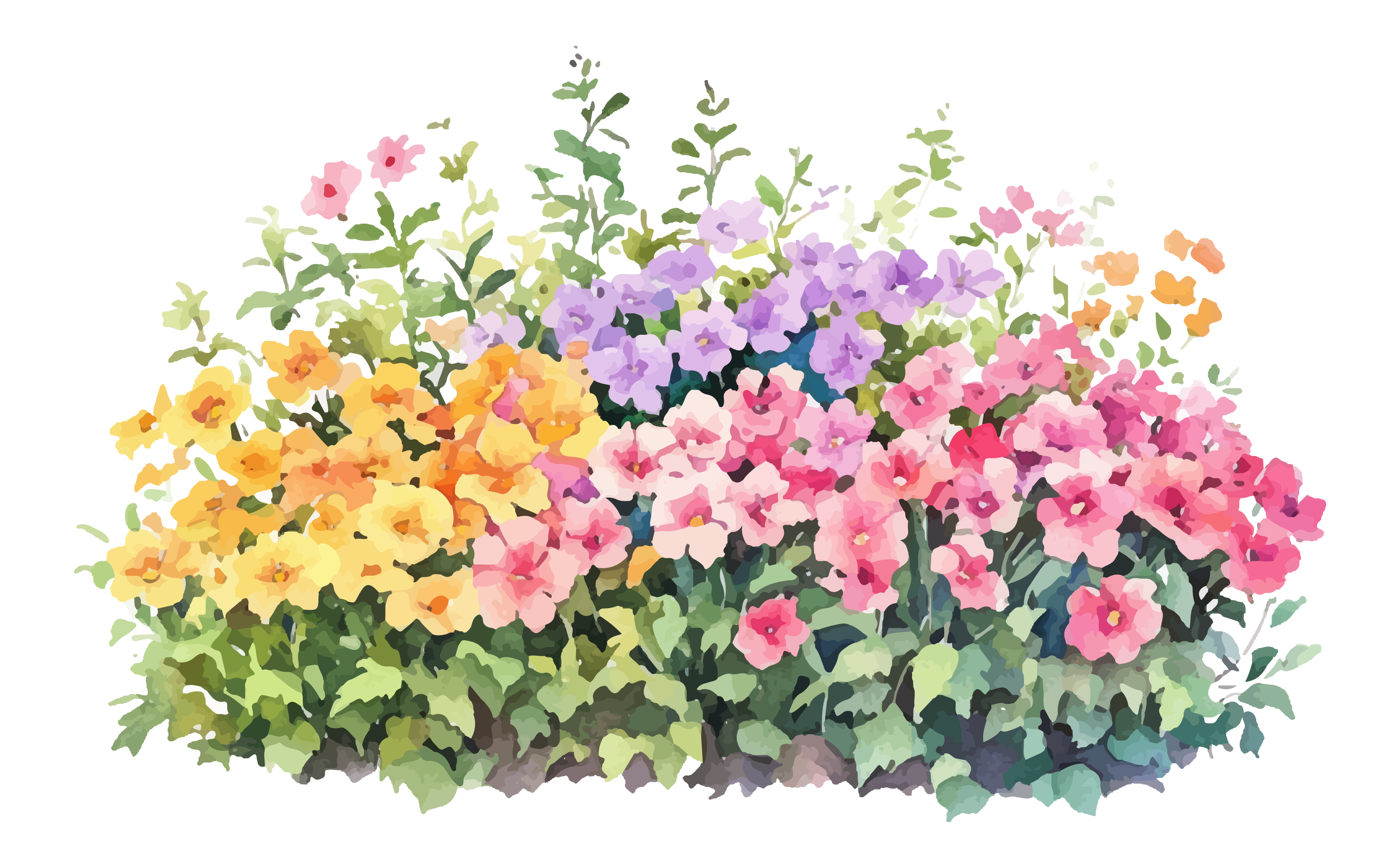 Wildflowers illustration