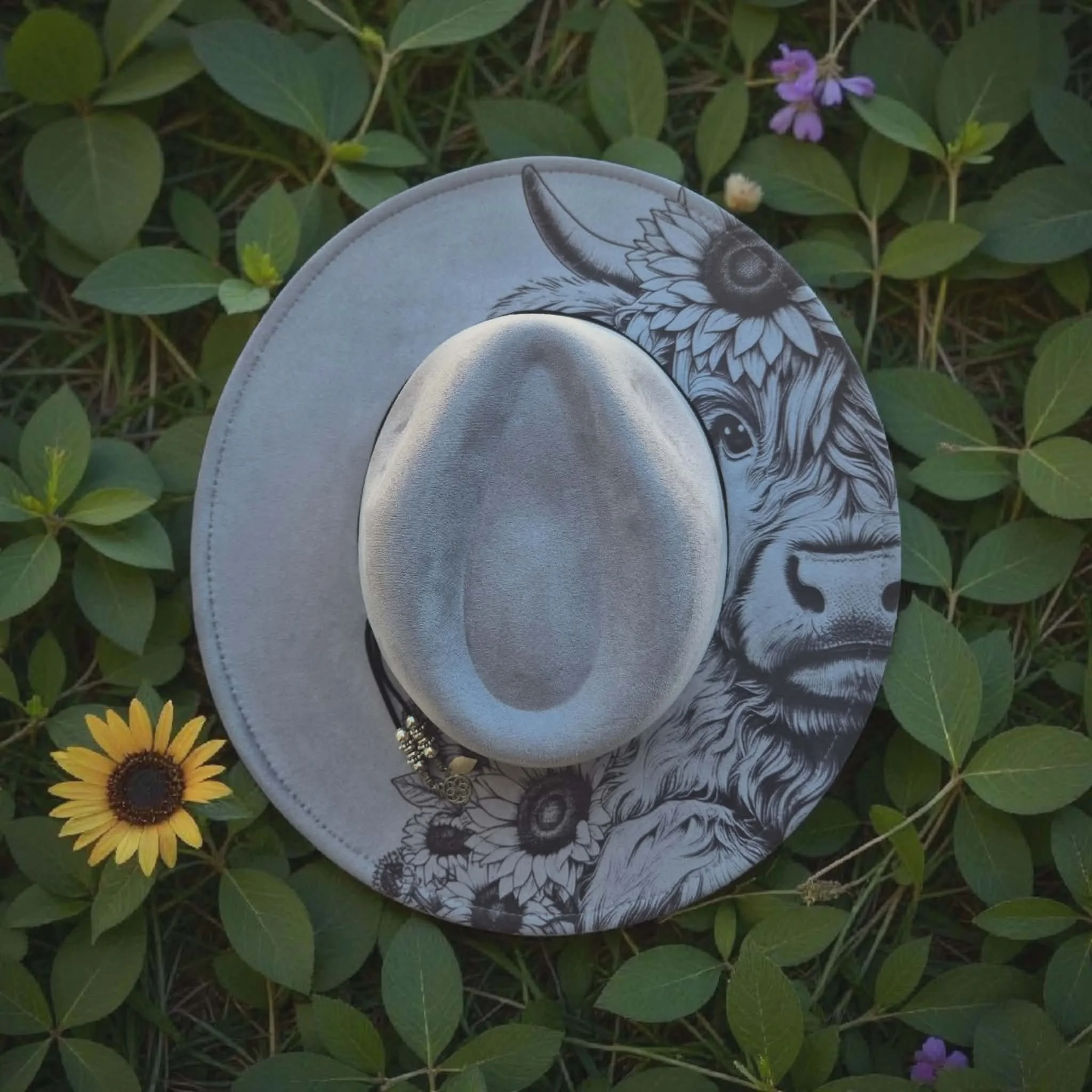 Light Grey Highland Cow