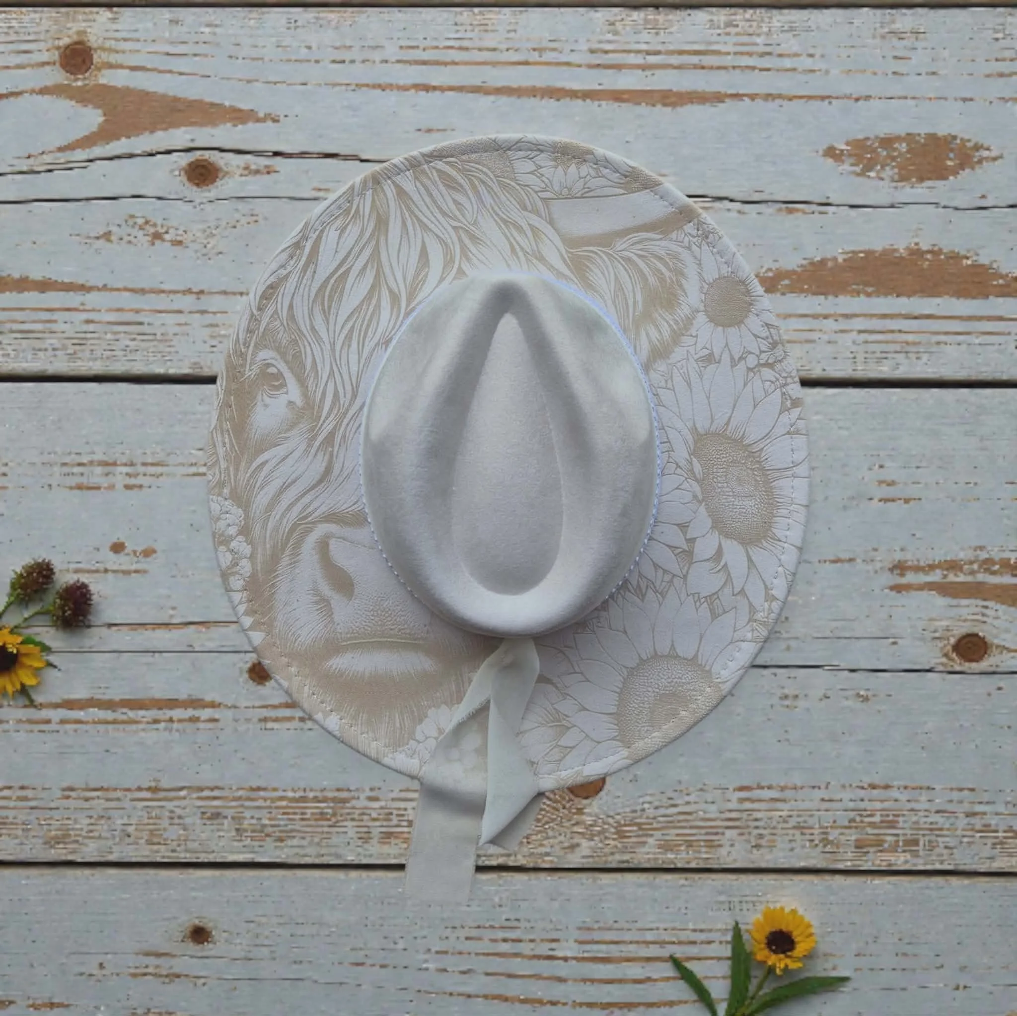 Light Cream Highland Cow