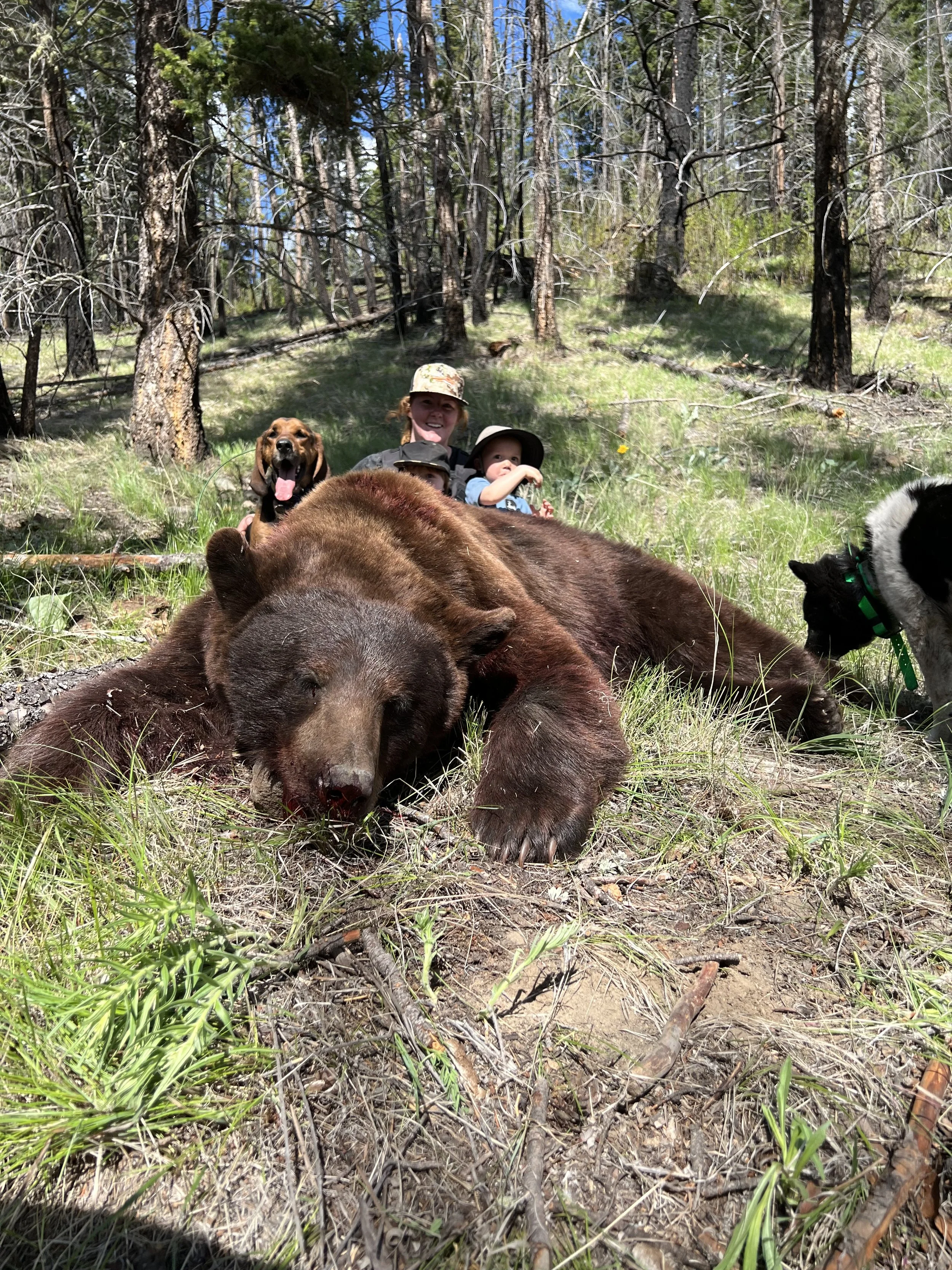 katie with bear and kids.jpg