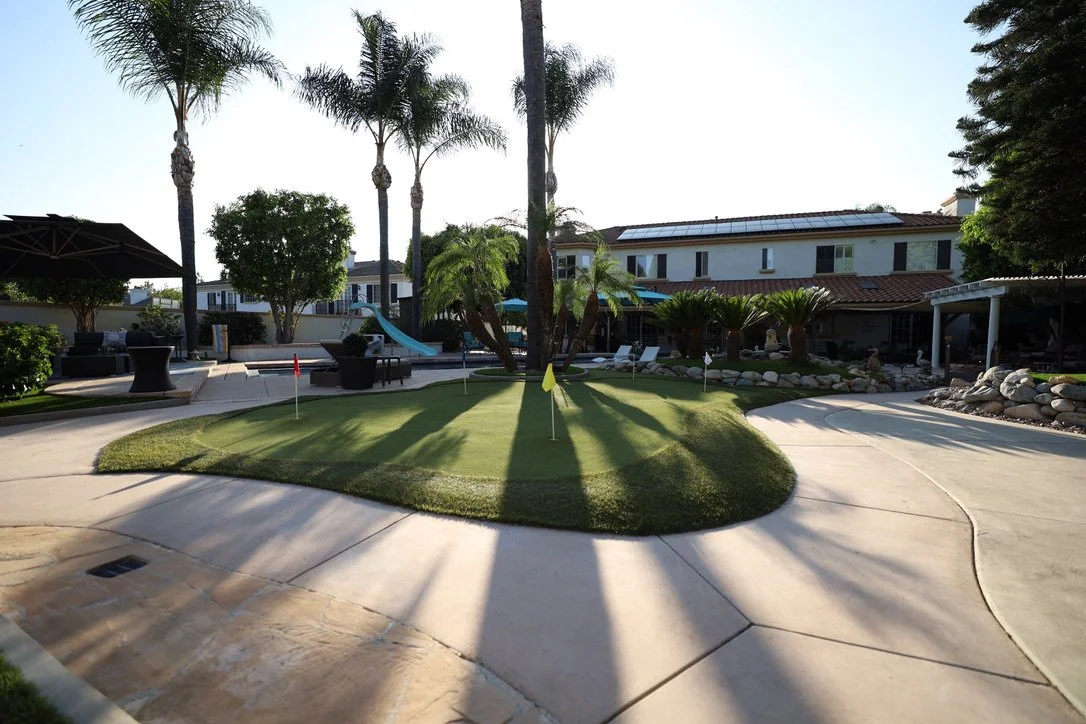 _0008_Background copy.jpg