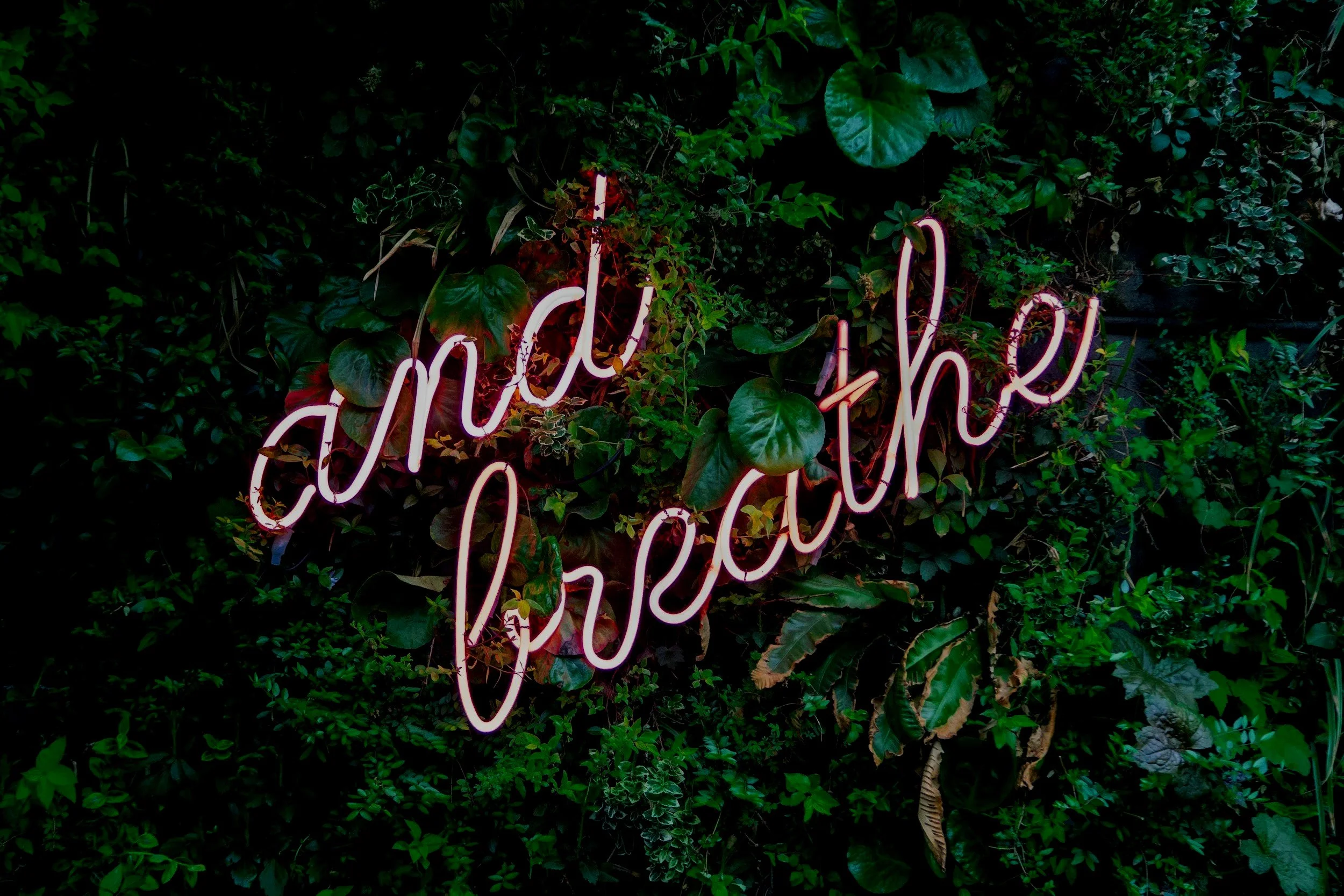 Neon sign reading and breathe, against a green leafy background. deep breath, restoration