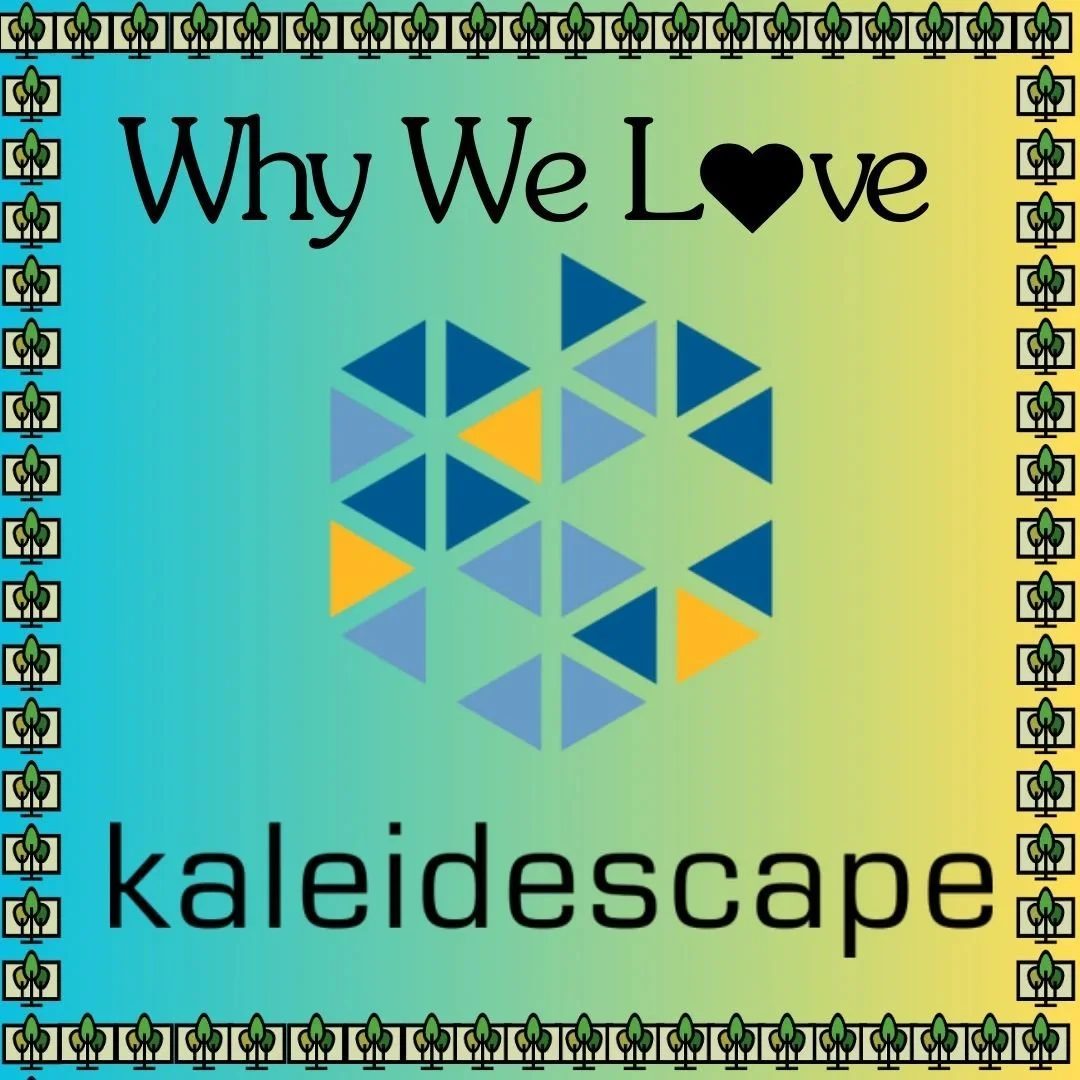 Our customers agree that Kaleidescape is an excellent choice for their home theaters. 

https://woodlands-hometheater.com/news/f/why-we-love-kaleidescape