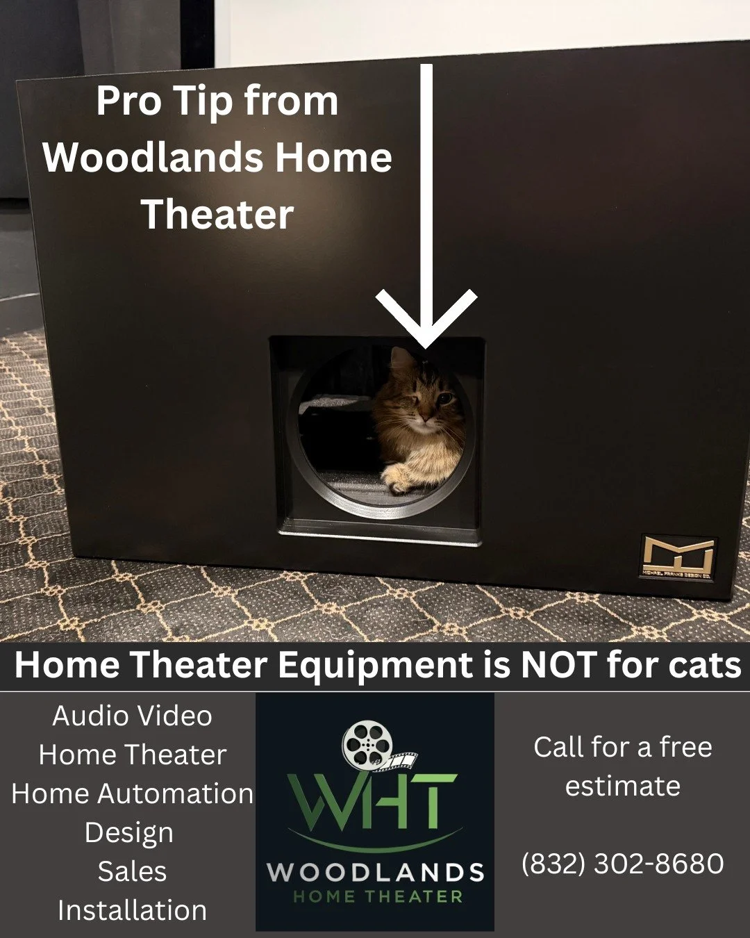 Good thing this home theater projection hush box hangs on the ceiling because Willow thinks it's a cat house.

#hometheaterSanAntonio
#hometheaterAustin
#hometheaterTheWoodlands
#luxuryhometheater
#mediaroom
#cinemaathome