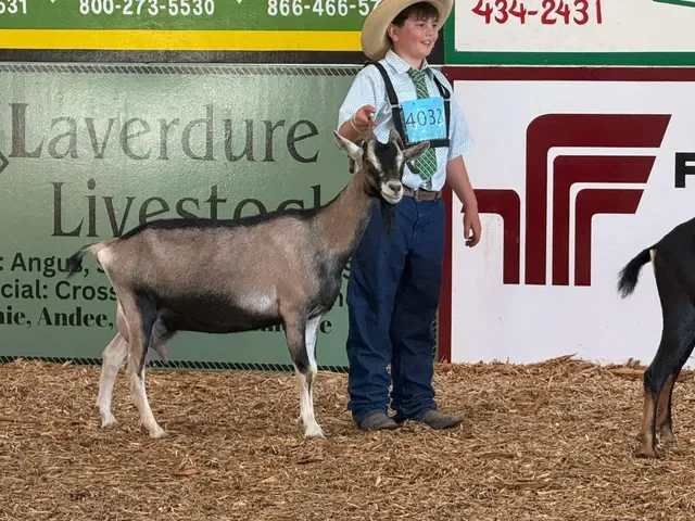 Colt Laverdure of Glacier County. Photo Credit: Melissa Running Wolf
