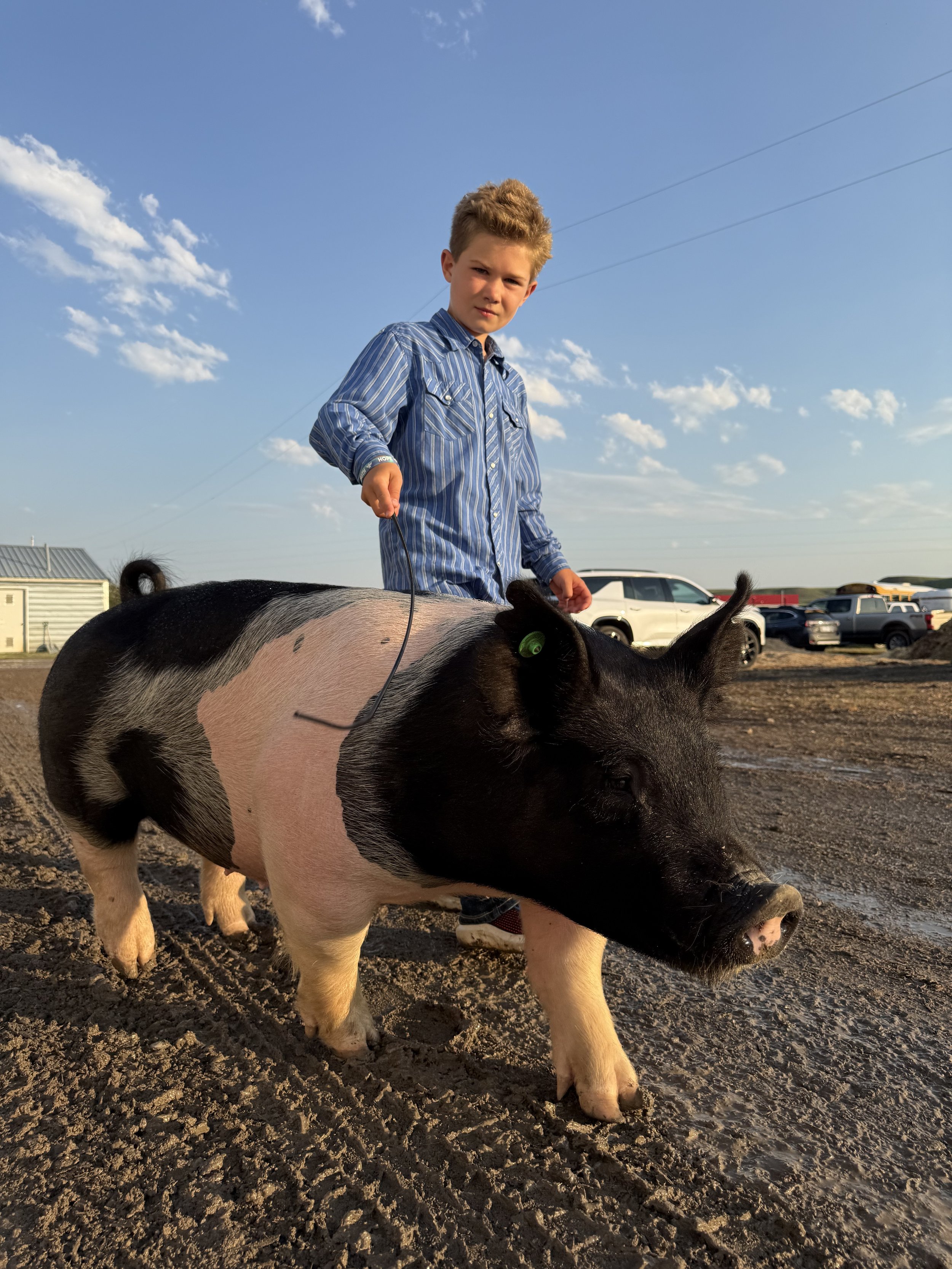 Ryker Fugle of Glacier County. Photo Credit: Meghan Fugle