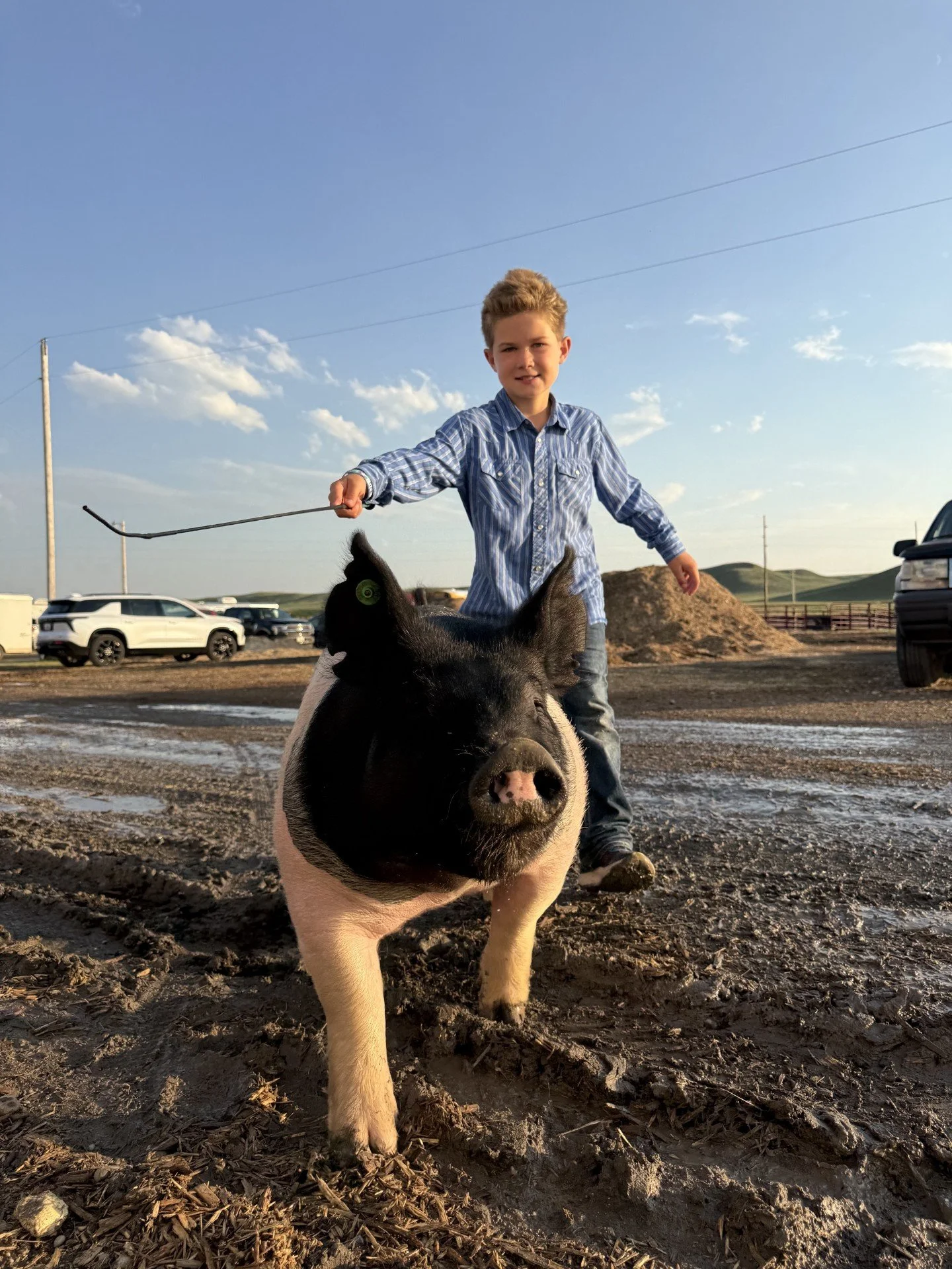 Ryker Fugle of Glacier County. Photo Credit: Meghan Fugle