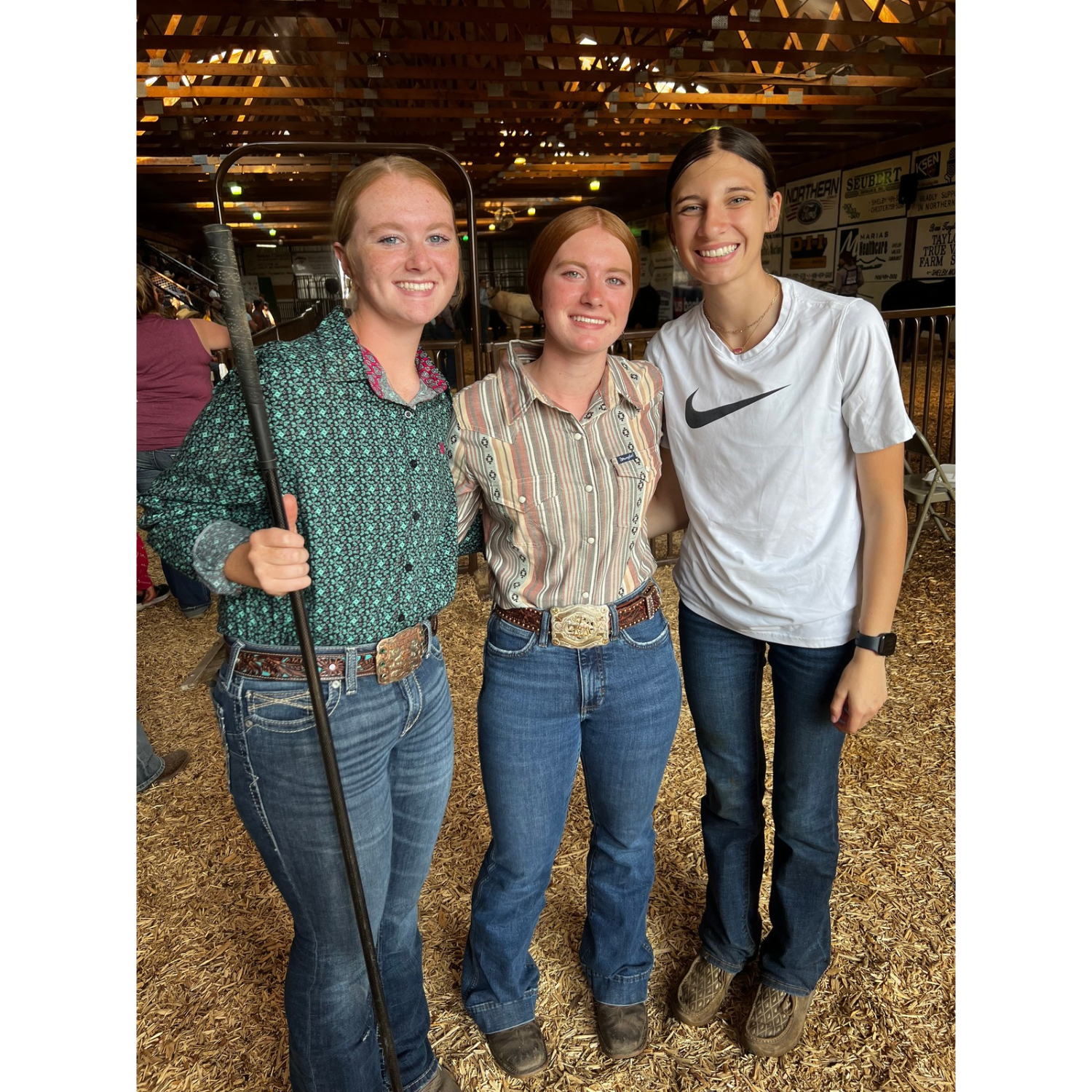 Celebrating Montana 4-H Through Fair Memories