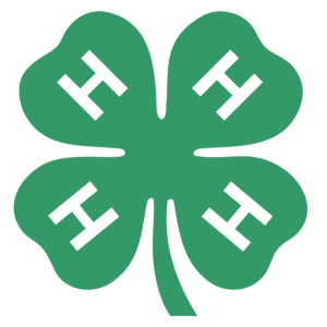 Four-leaf clover with H's on each leaf