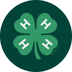 Four-leaf clover with white H's on each leaf, on a dark green background.