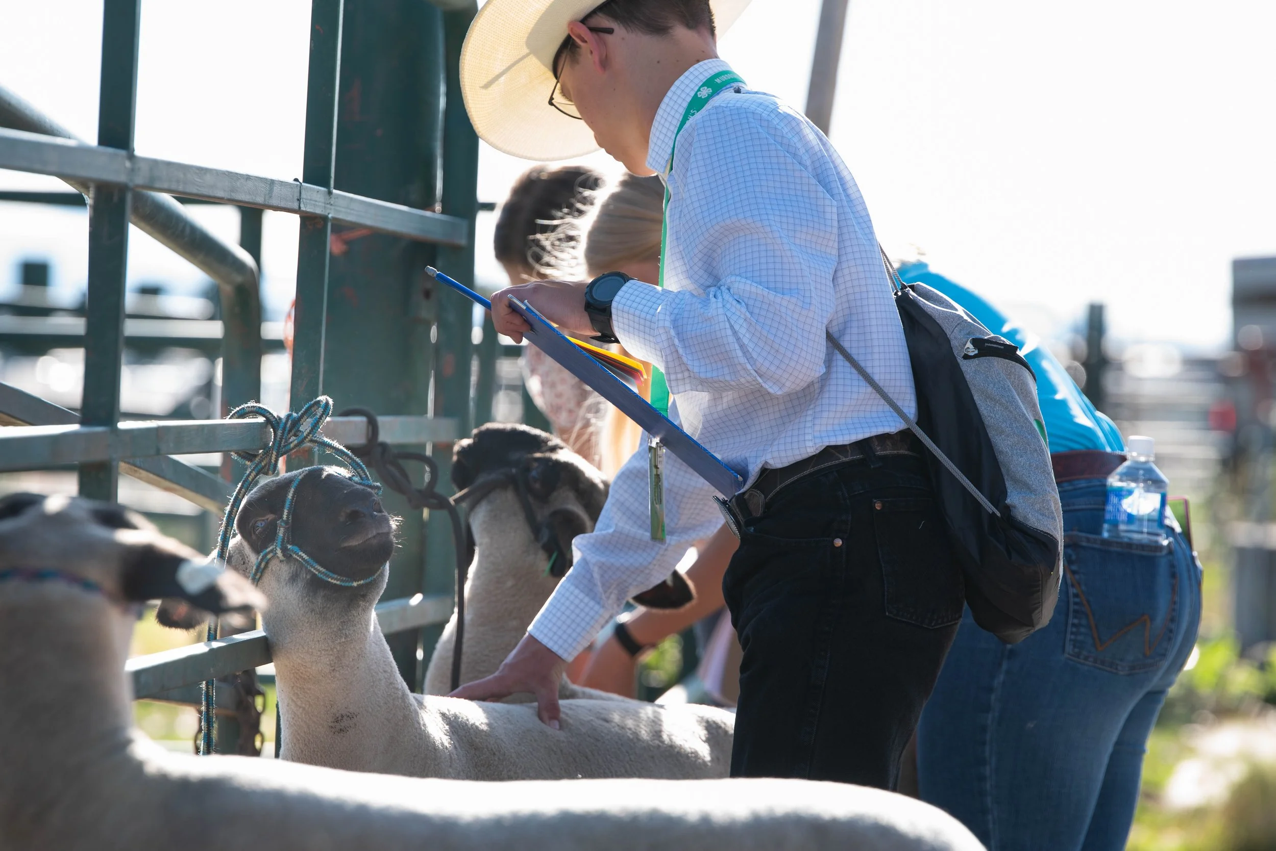 People at a sheep judging event with a judge taking notes, while sheep are in pens nearby.