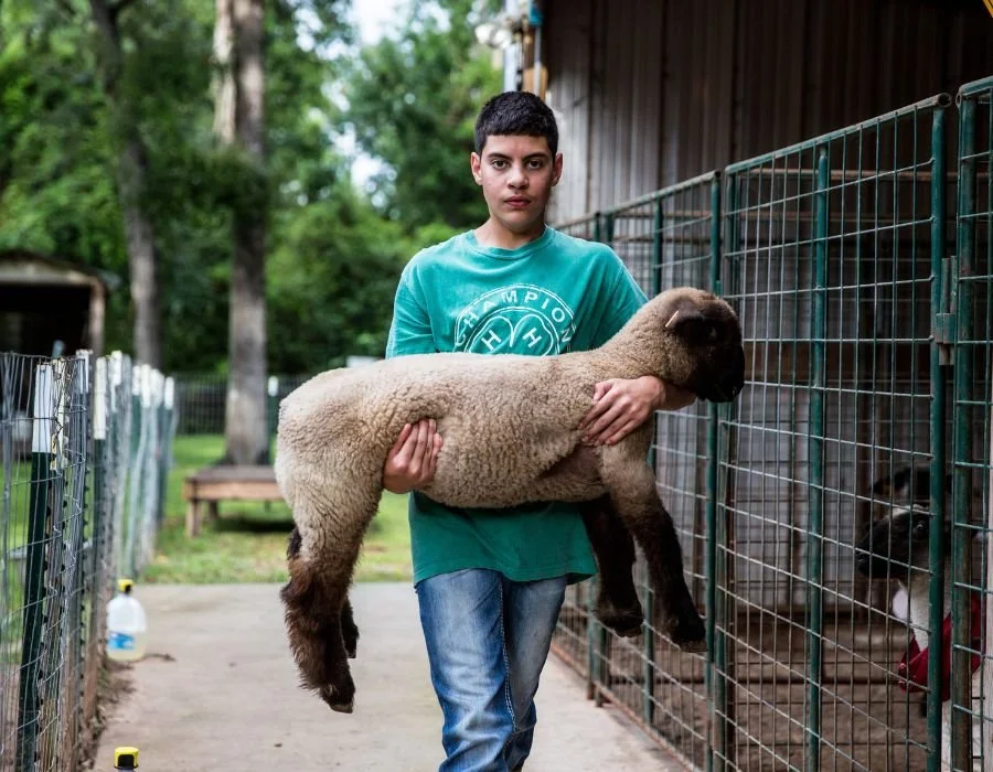 A young man holding a large brown sheep in front of a wooden animal enclosure with other animals inside, outdoors with trees in the background.