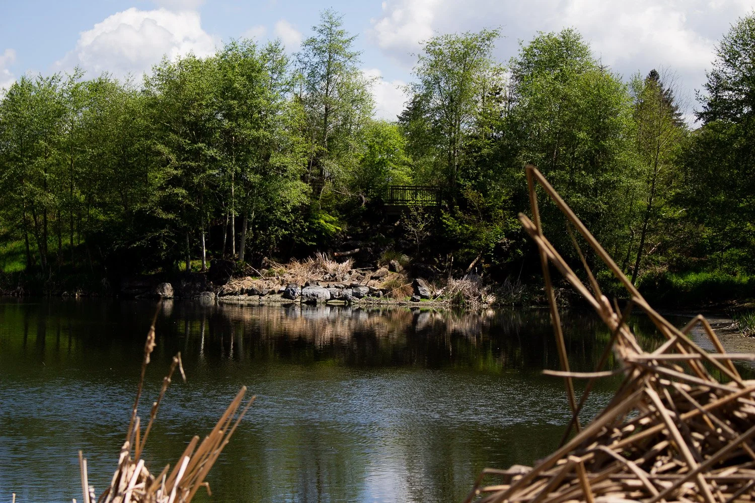 A peaceful river scene with green trees on the opposite bank, some rocks, and a small wooden bridge in the background. Brown reeds are visible in the foreground, with a partly cloudy sky above.