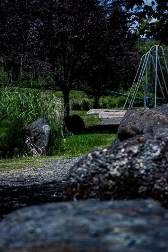 A backyard scene with rocks, a tree, grass, and a swing set in the background.