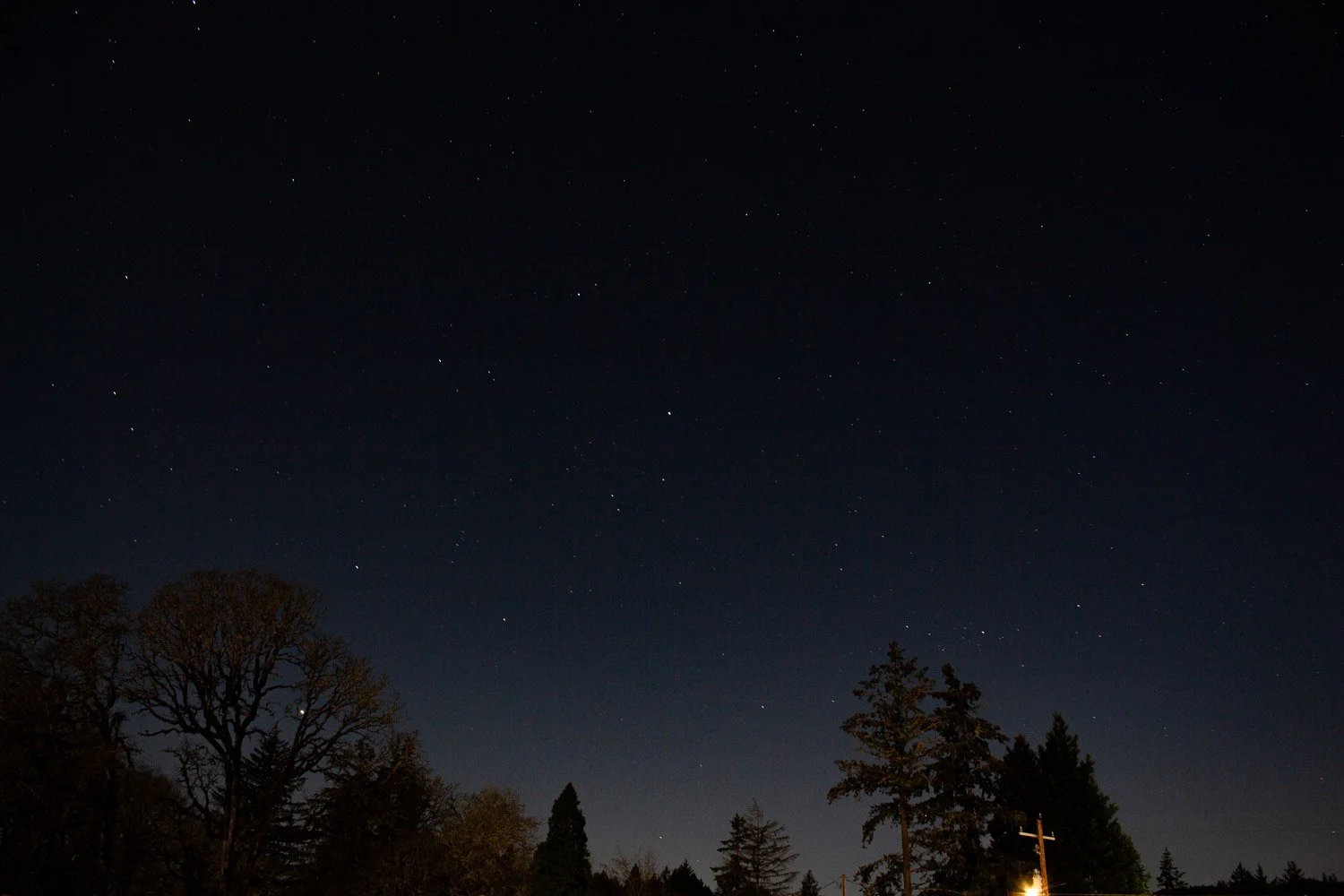 Night sky with visible stars over a silhouette of trees and a building with a cross.