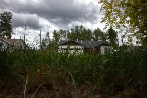 Residential houses viewed from ground level with tall grass in the foreground, cloudy sky overhead, and trees in the background.