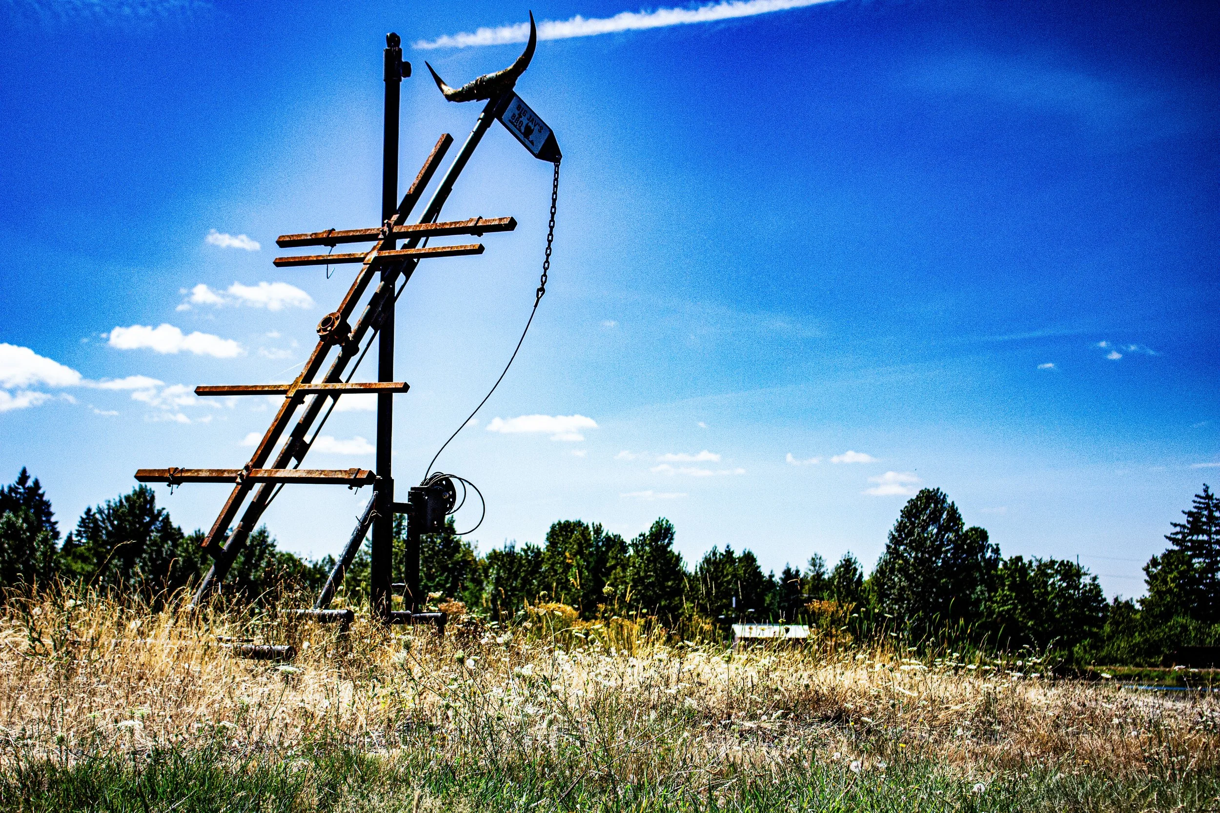 An old, rusty ladder leaning on a utility pole in a grassy field, under a bright blue sky with scattered clouds and trees in the background.