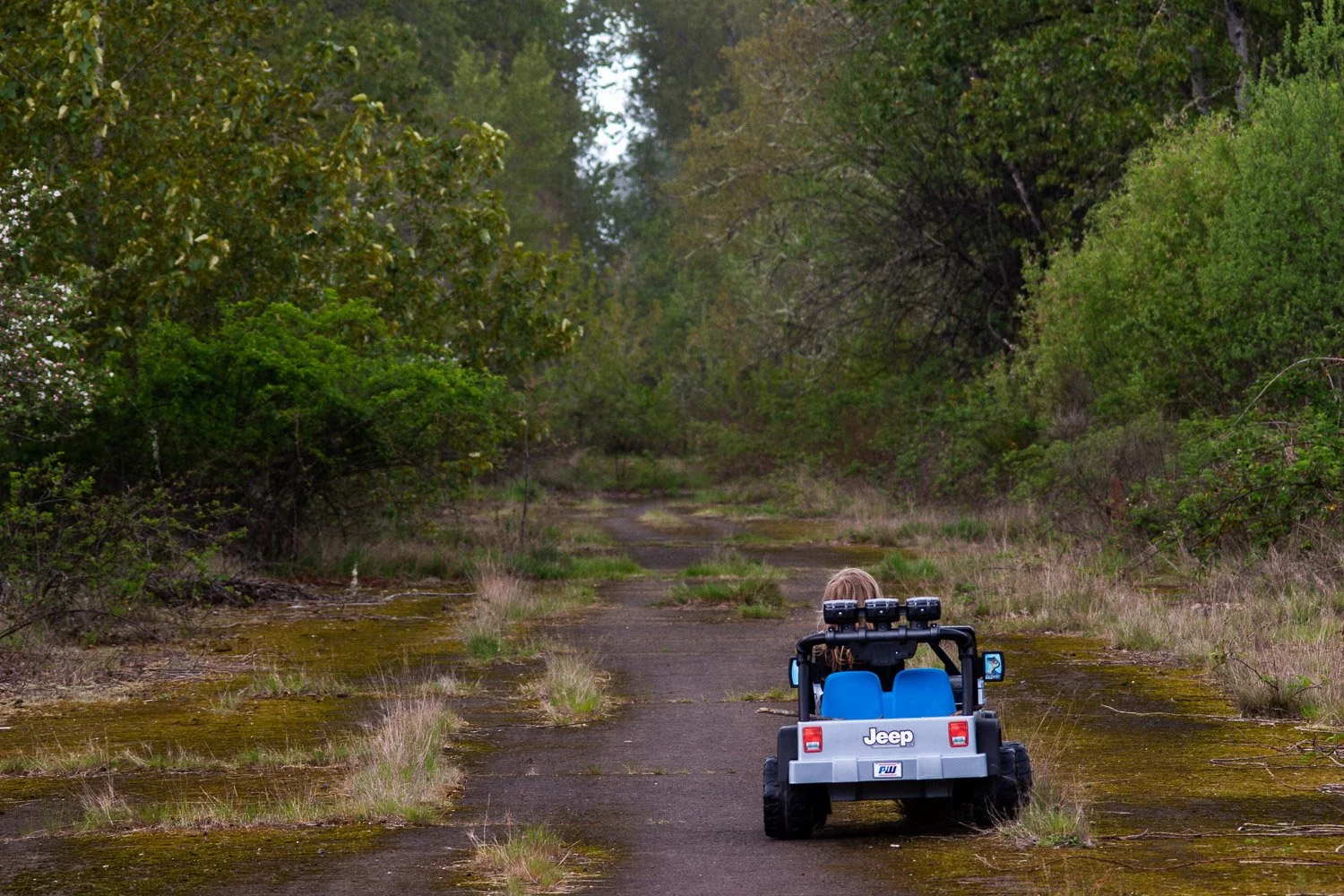 A small blue and silver toy Jeep driving on a narrow dirt path surrounded by green trees and grass in a forest.