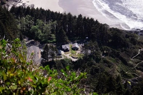 A view of a forested coastal area with houses near the shoreline and waves crashing on the beach in the background.